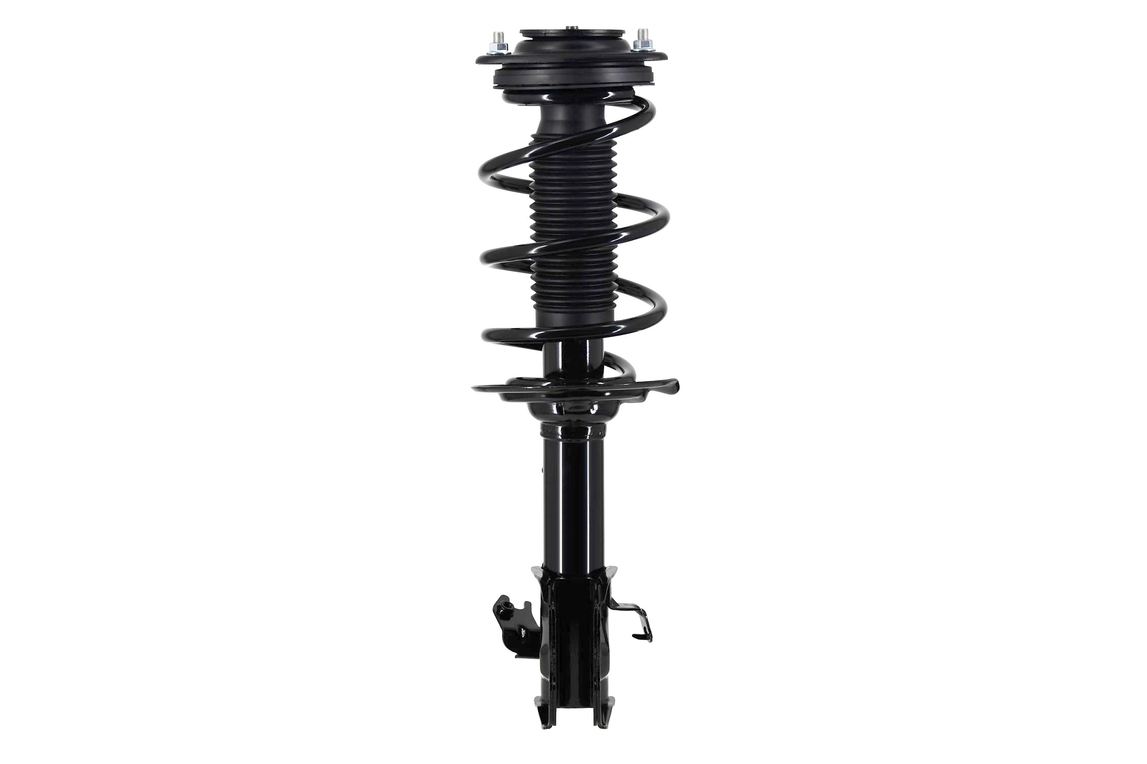 Suspension Strut and Coil Spring Assembly