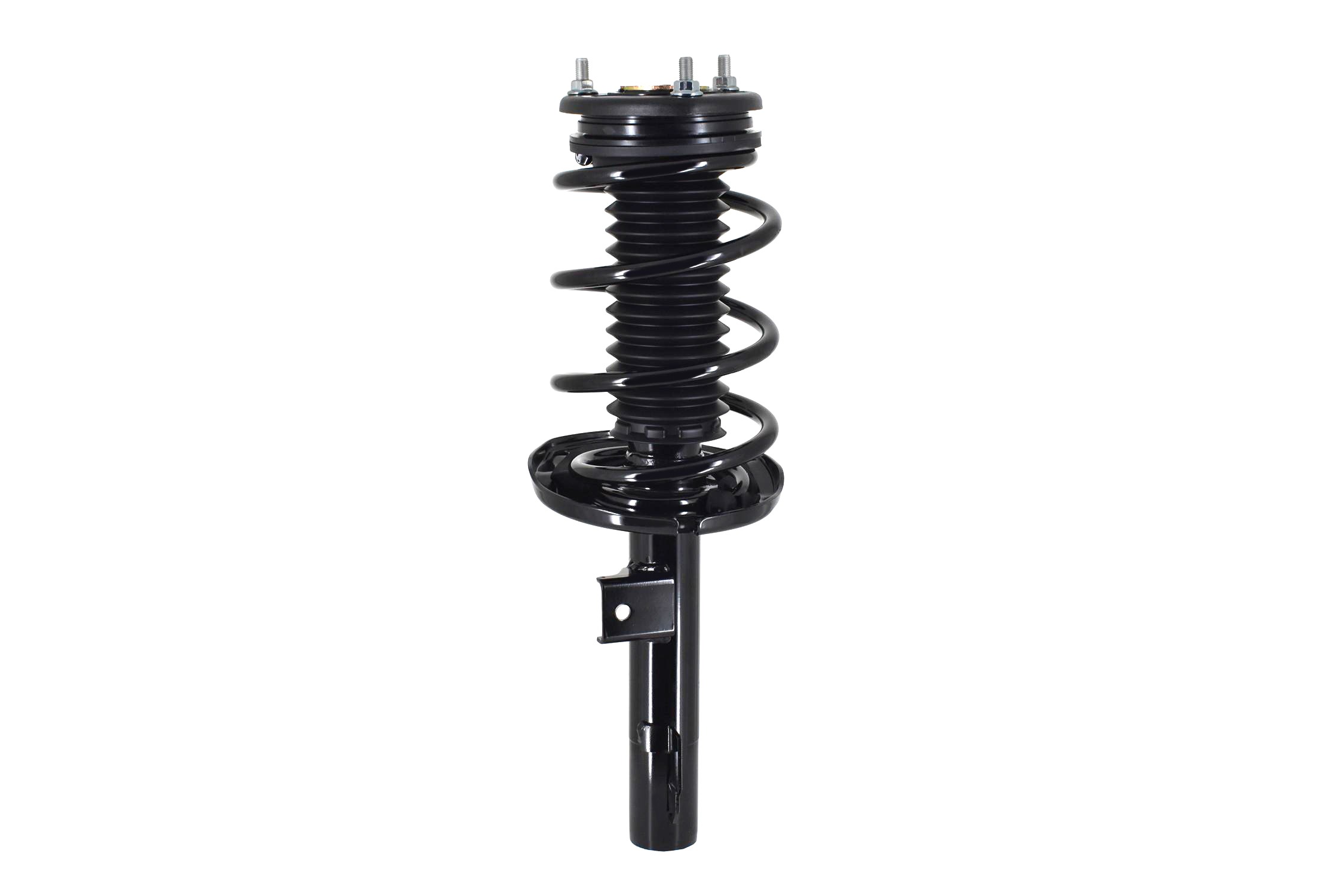Suspension Strut and Coil Spring Assembly