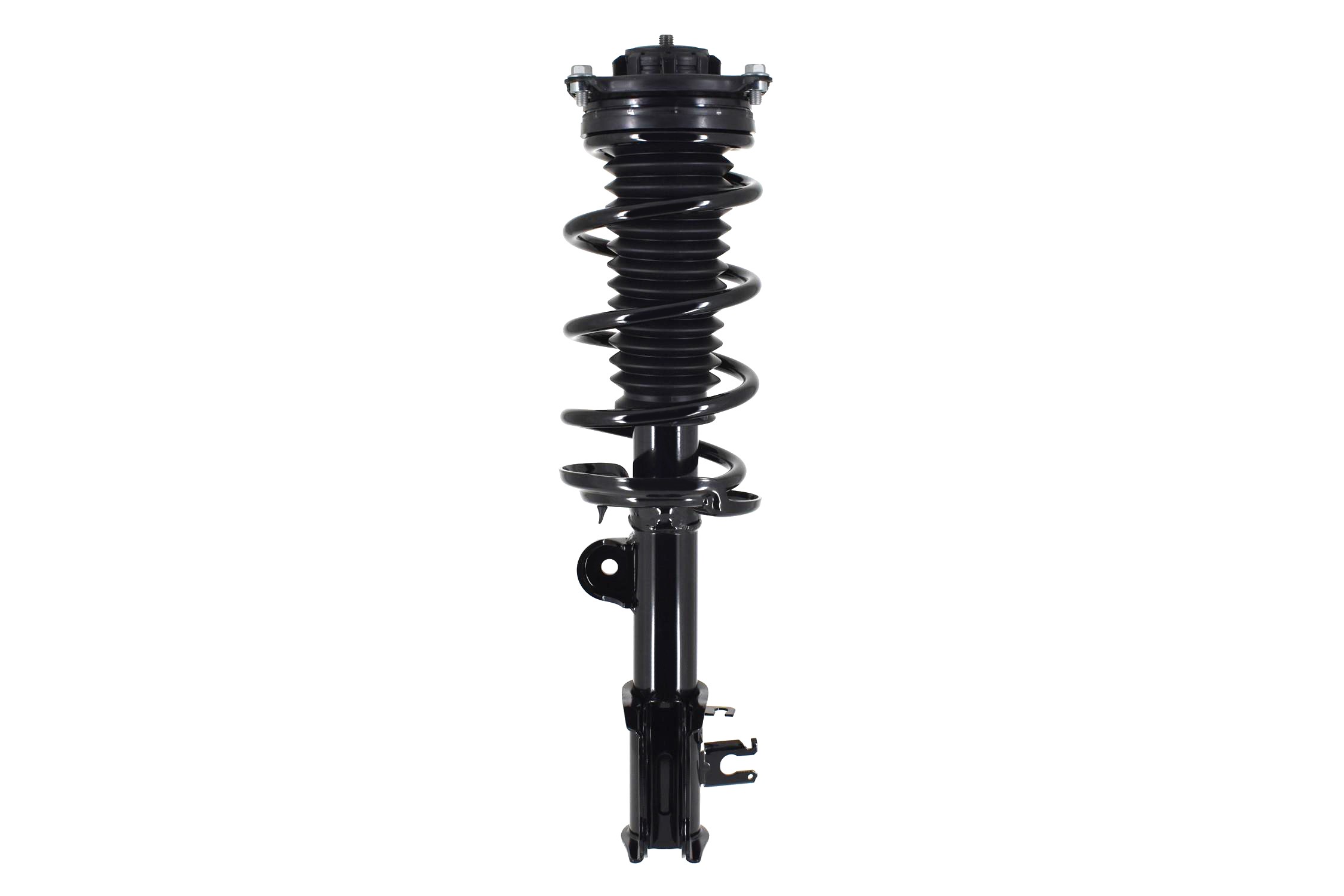 Suspension Strut and Coil Spring Assembly