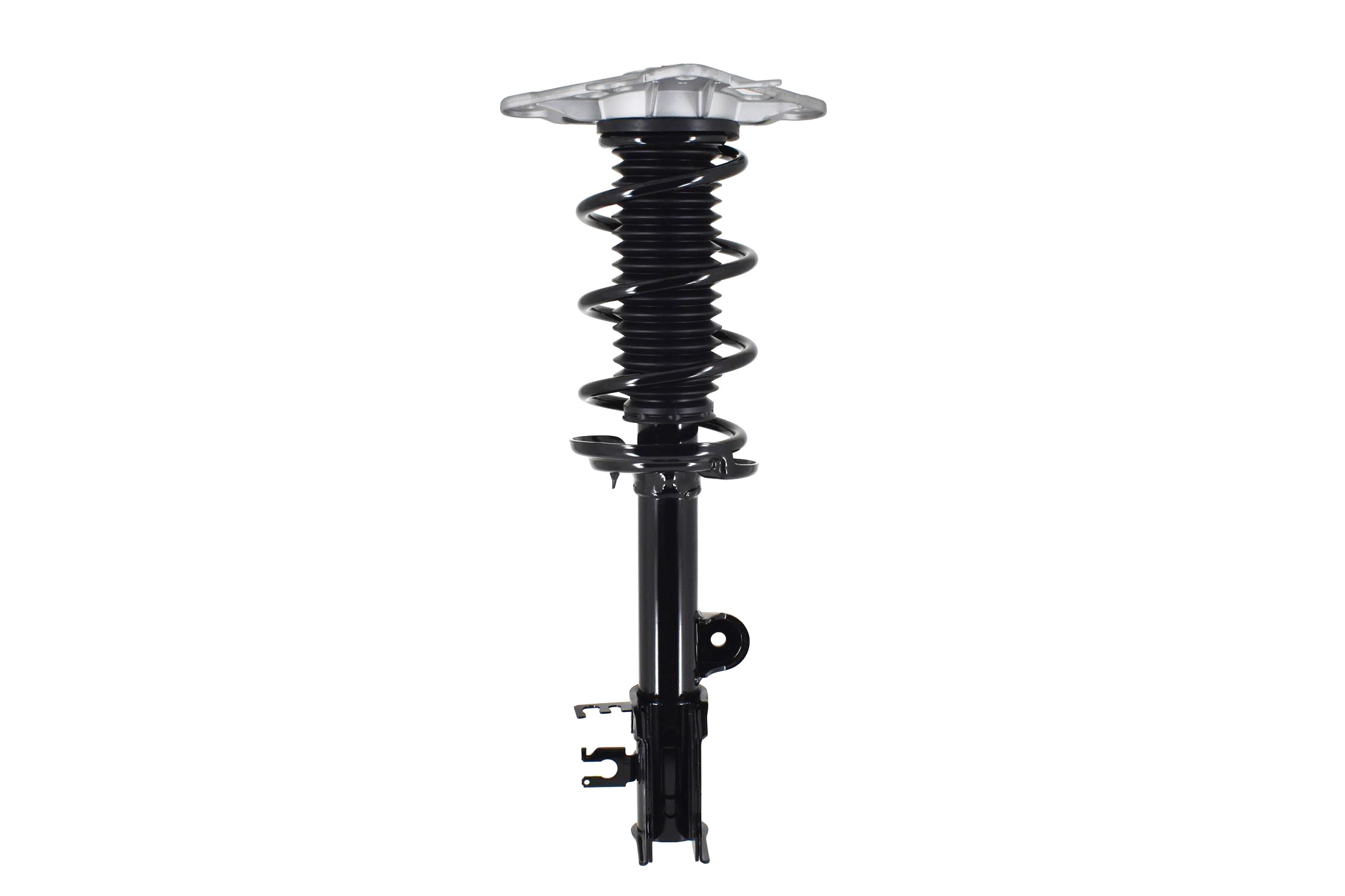 Suspension Strut and Coil Spring Assembly