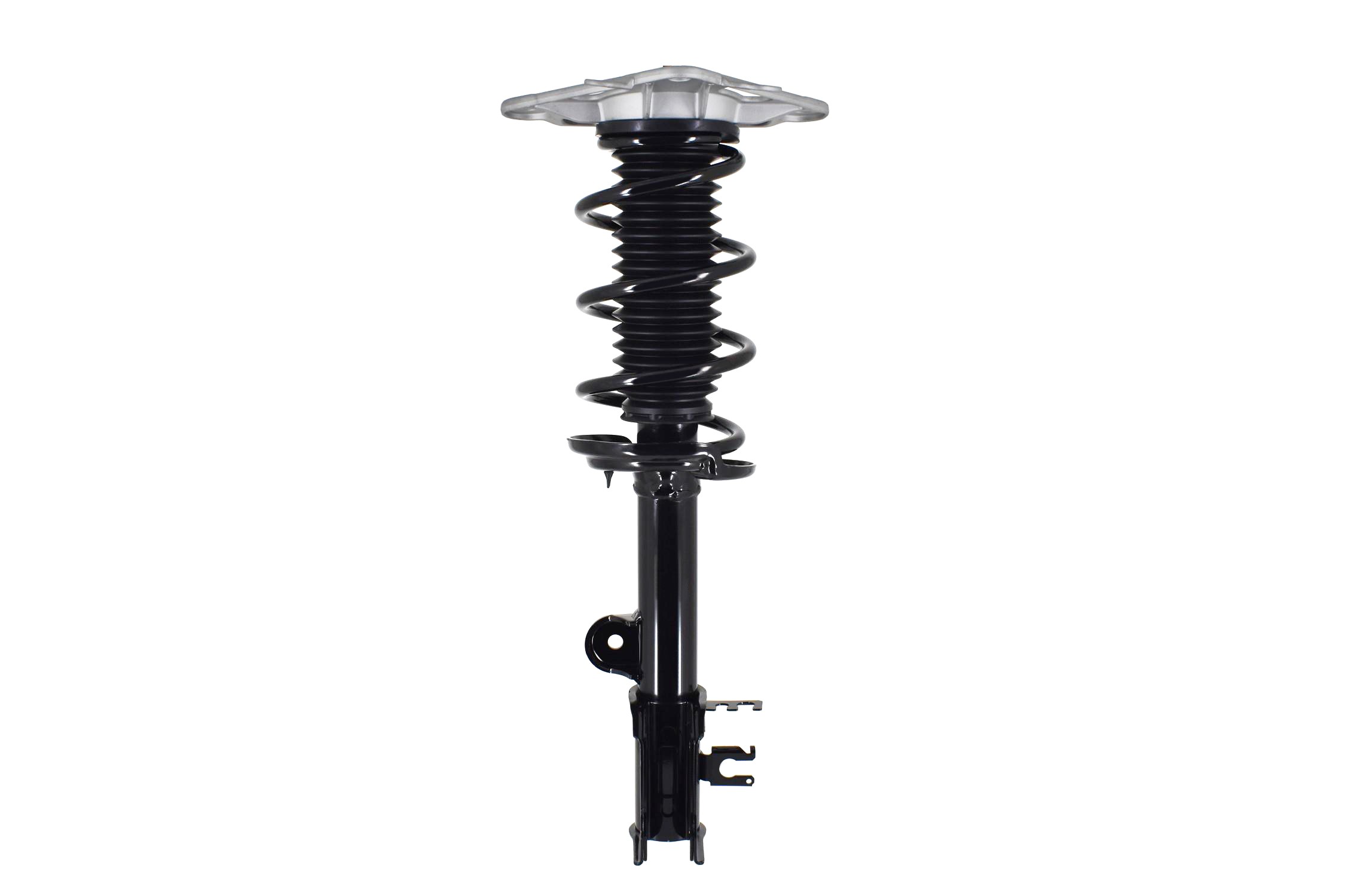 Suspension Strut and Coil Spring Assembly