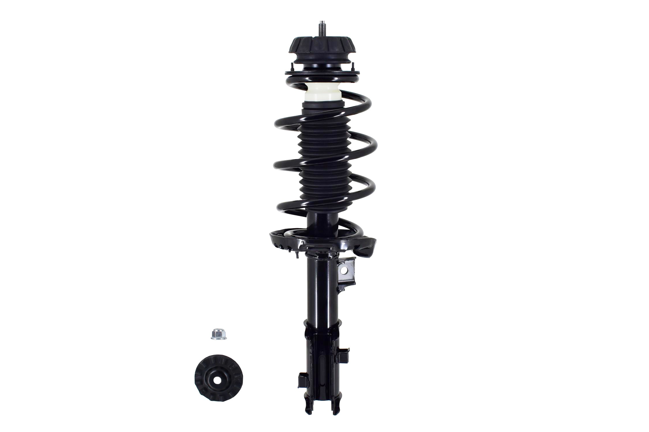Suspension Strut and Coil Spring Assembly