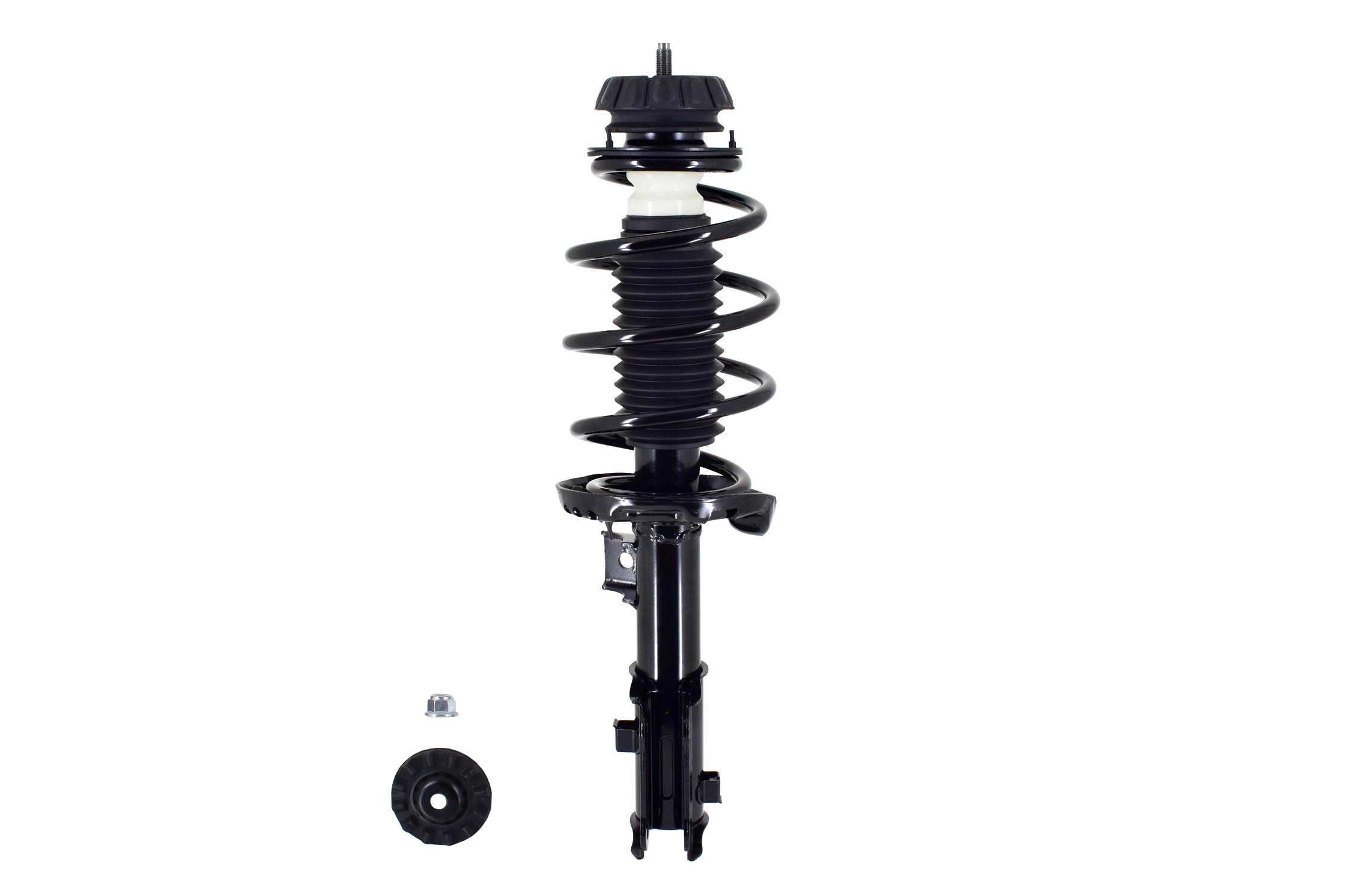 Suspension Strut and Coil Spring Assembly