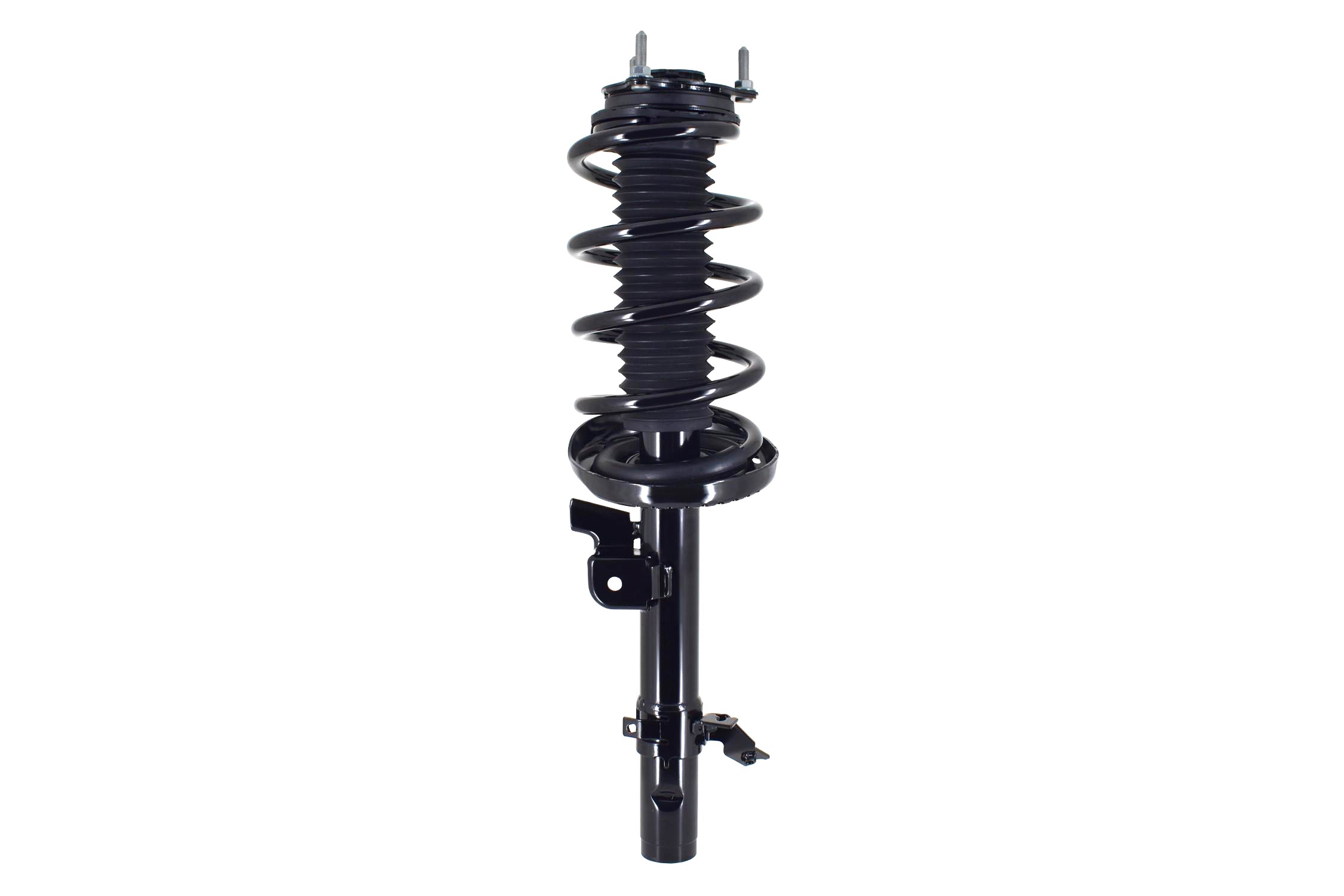 Suspension Strut and Coil Spring Assembly