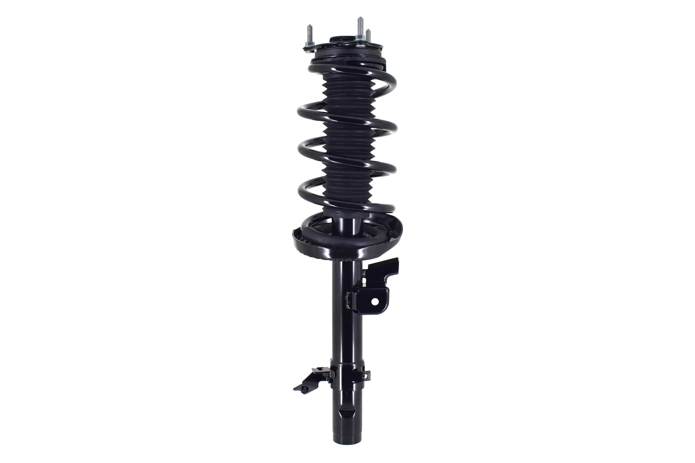 Suspension Strut and Coil Spring Assembly
