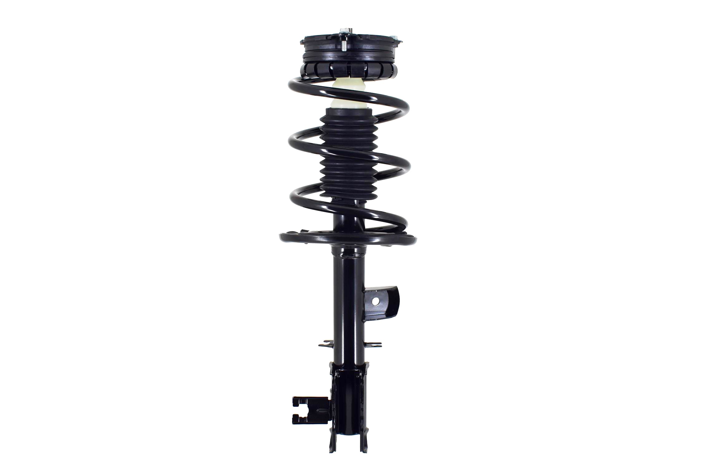 Suspension Strut and Coil Spring Assembly