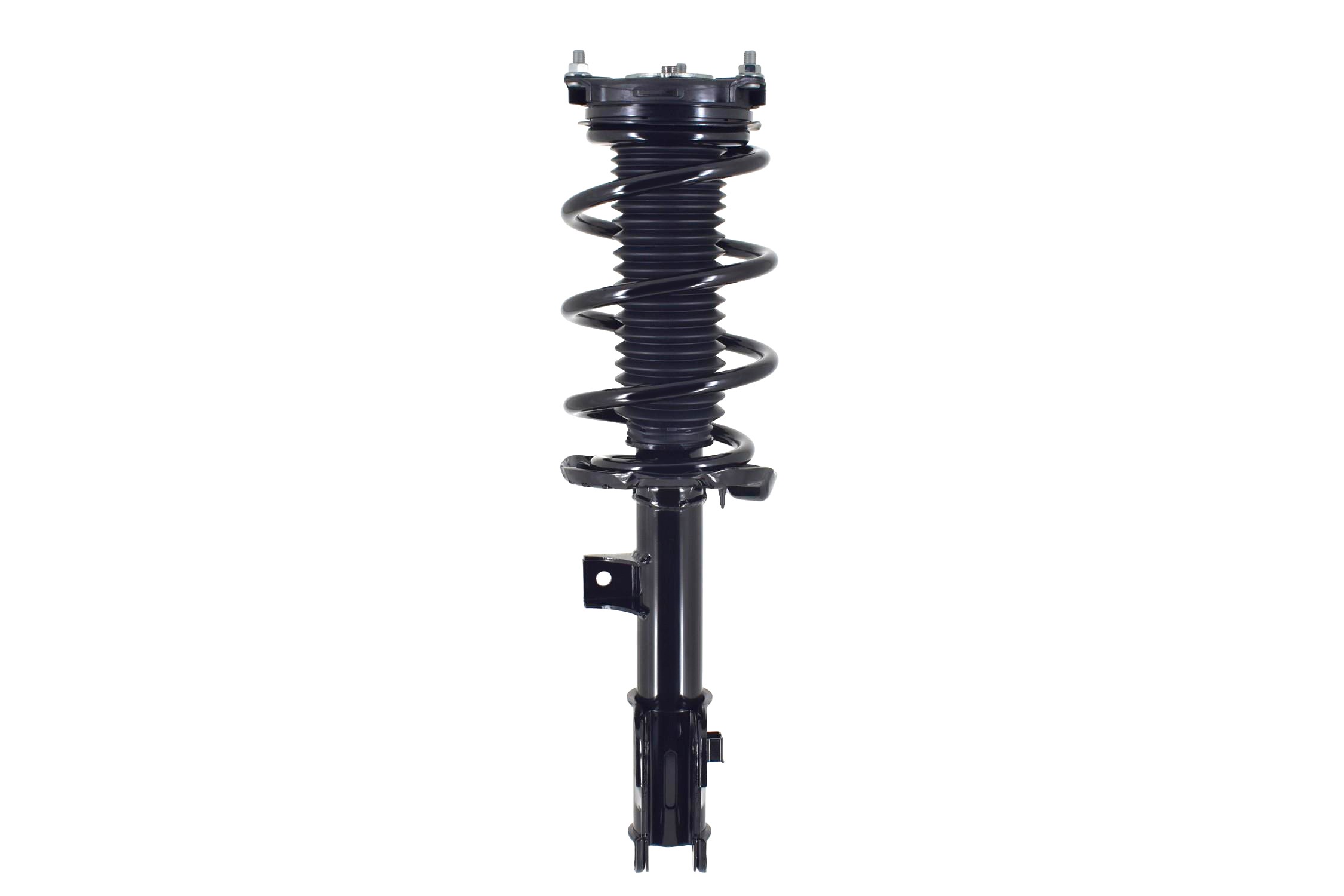 Suspension Strut and Coil Spring Assembly