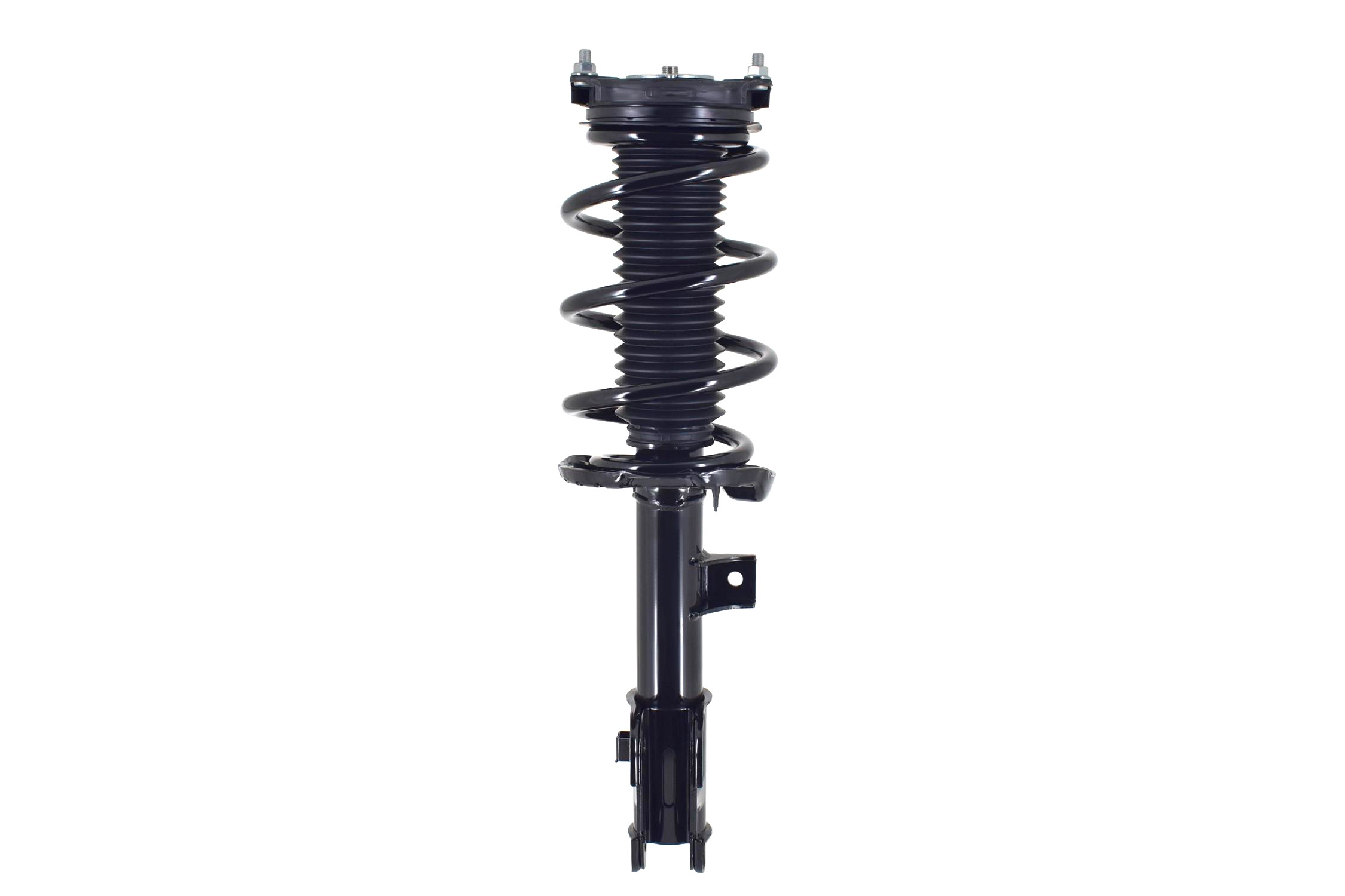 Suspension Strut and Coil Spring Assembly