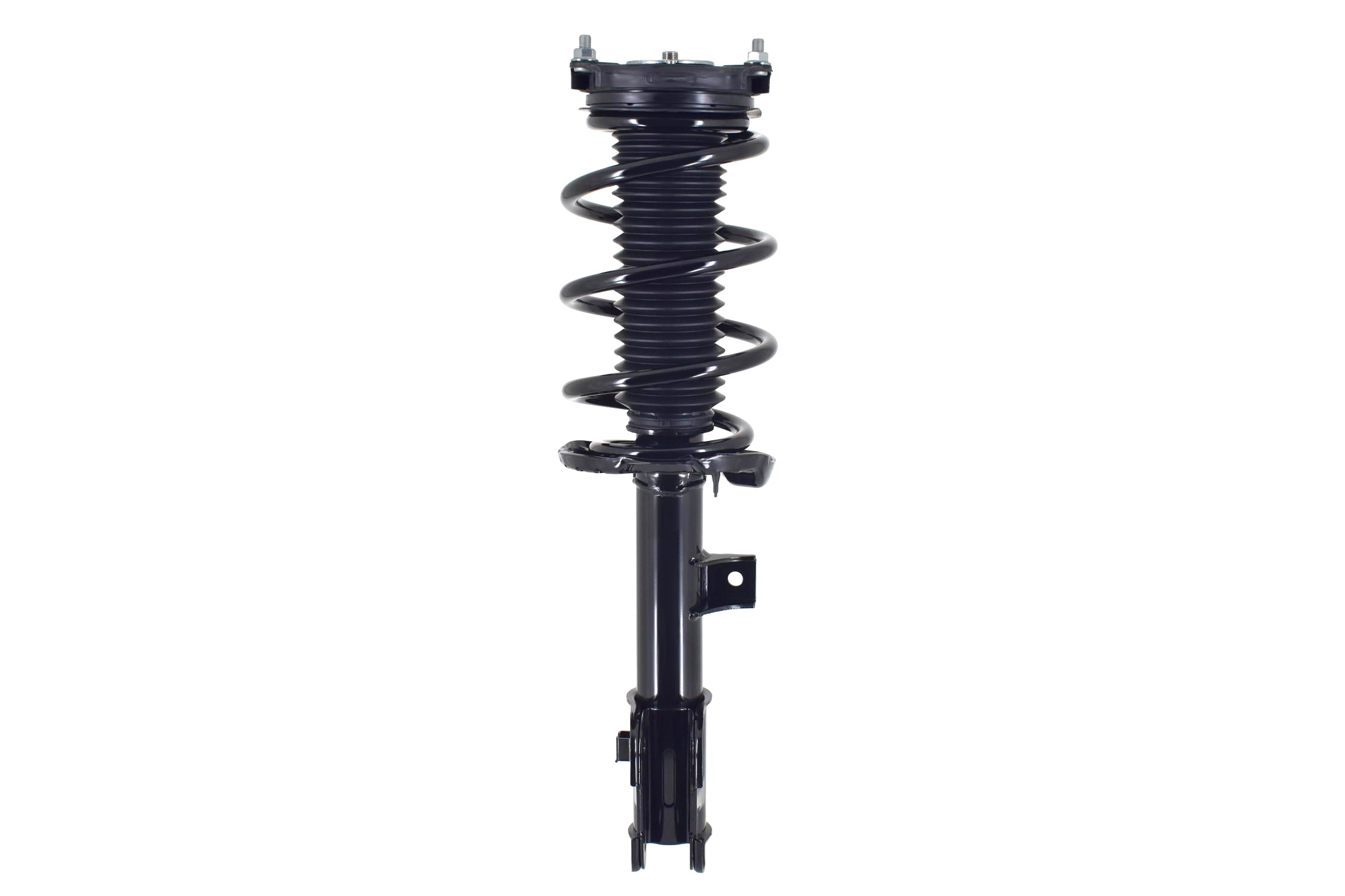 Suspension Strut and Coil Spring Assembly