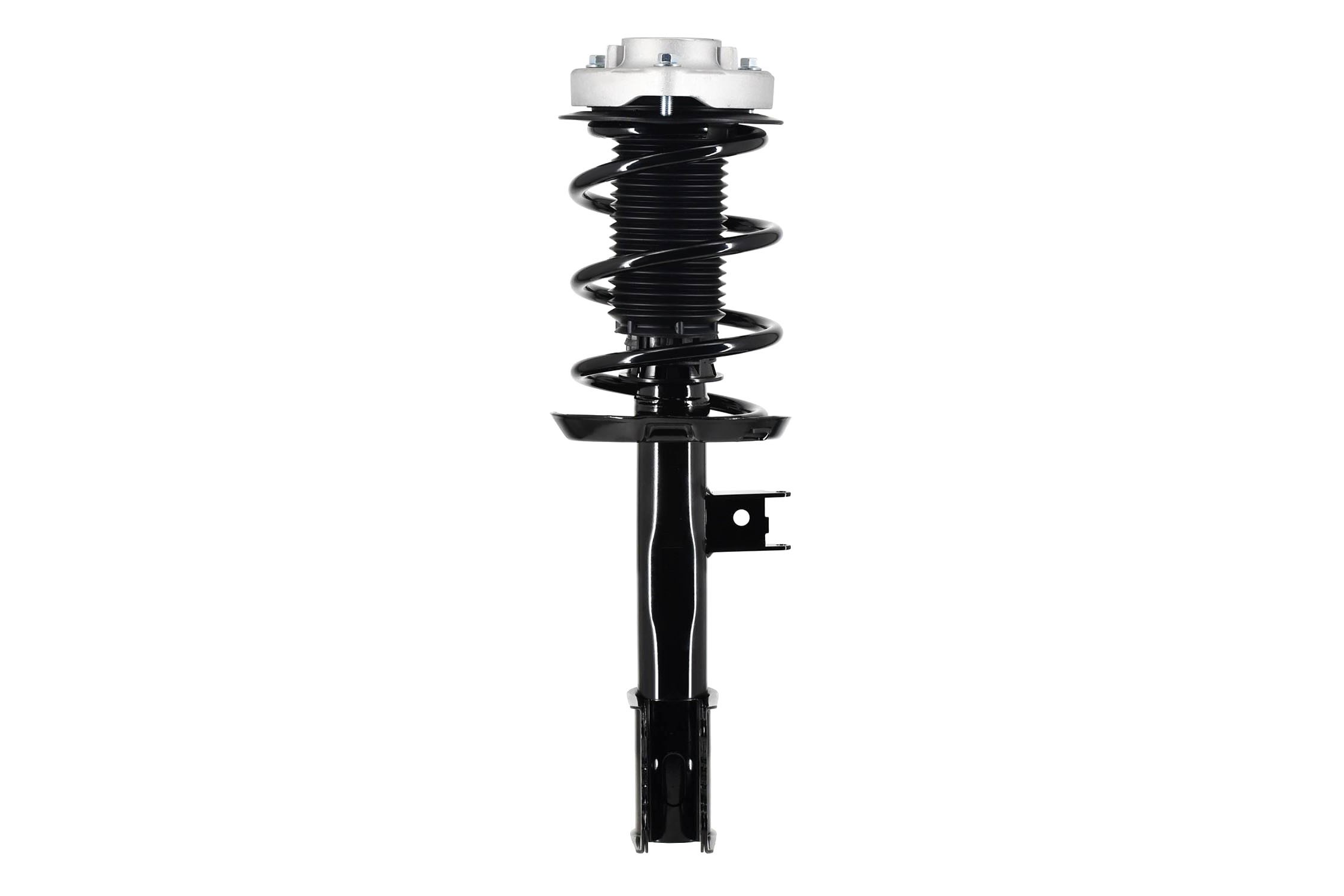 Suspension Strut and Coil Spring Assembly