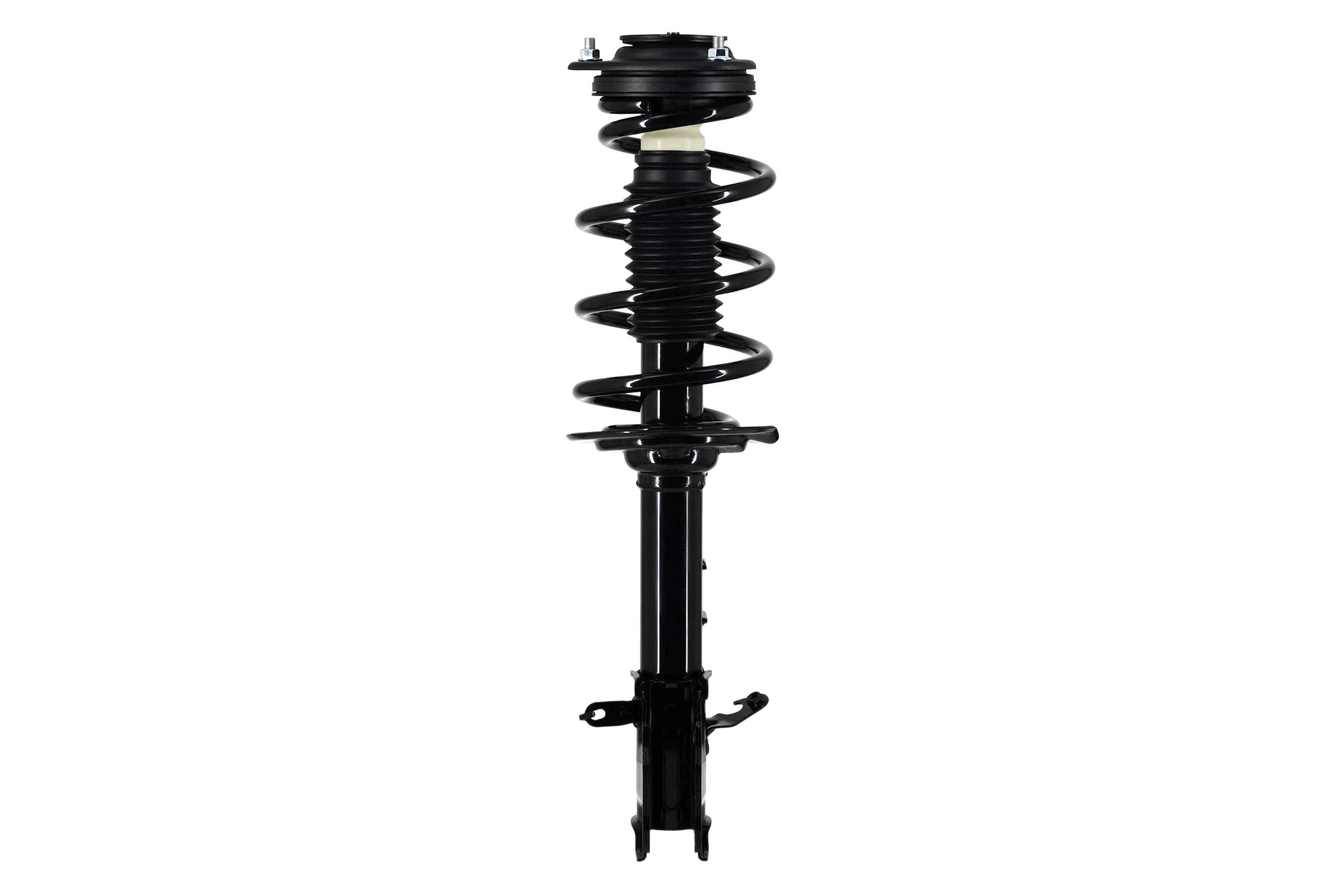 Suspension Strut and Coil Spring Assembly