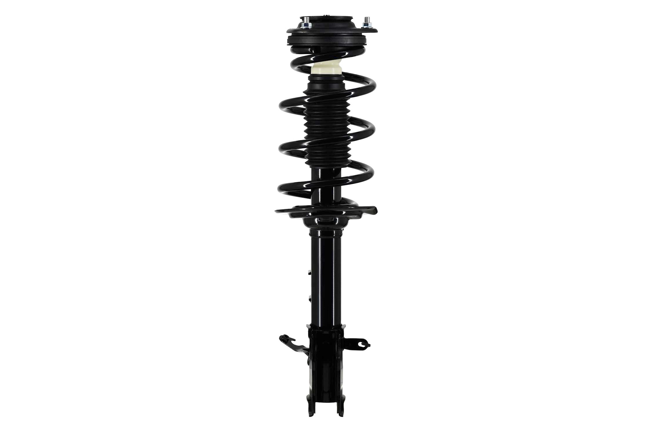 Suspension Strut and Coil Spring Assembly