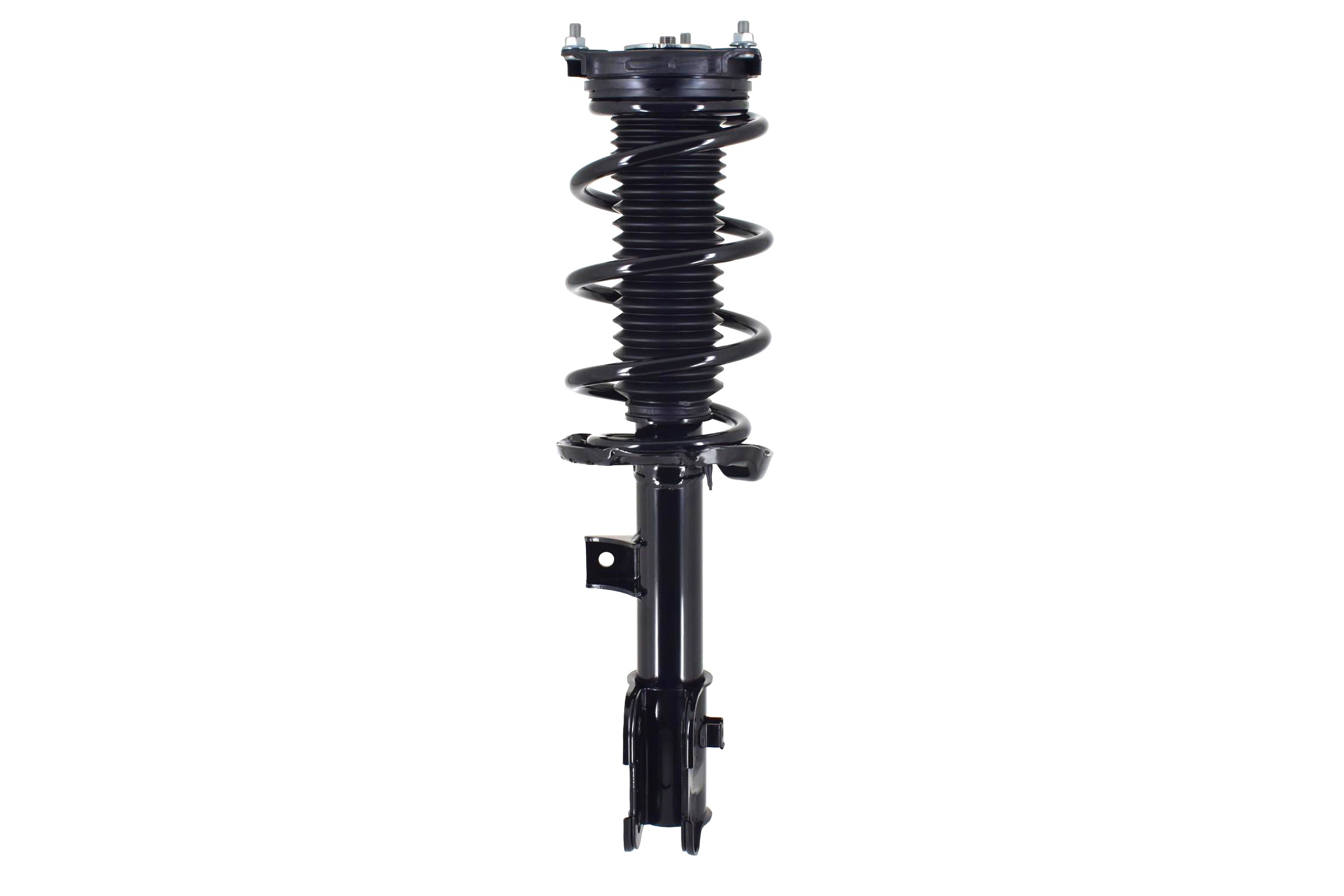 Suspension Strut and Coil Spring Assembly