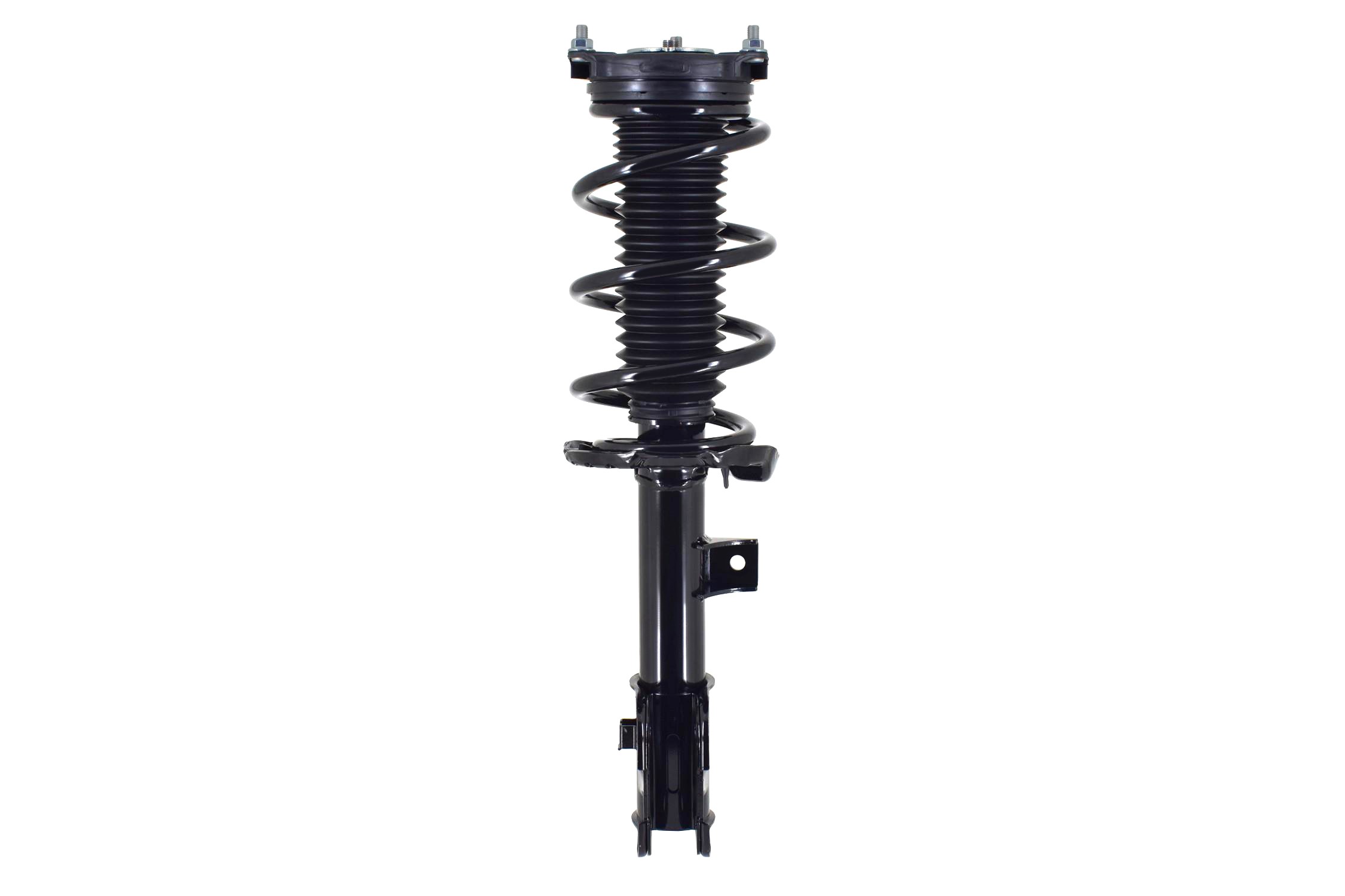 Suspension Strut and Coil Spring Assembly