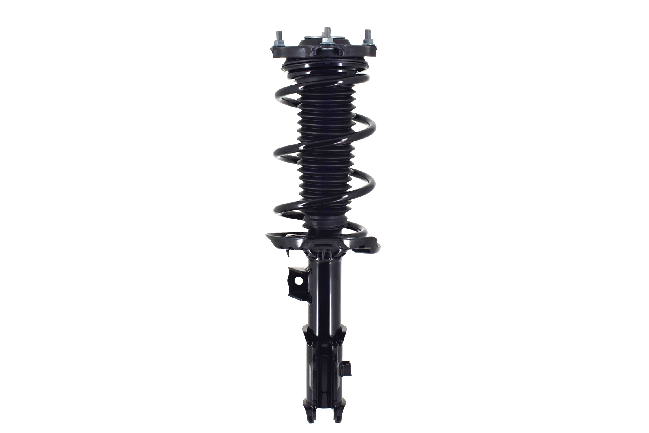 Suspension Strut and Coil Spring Assembly