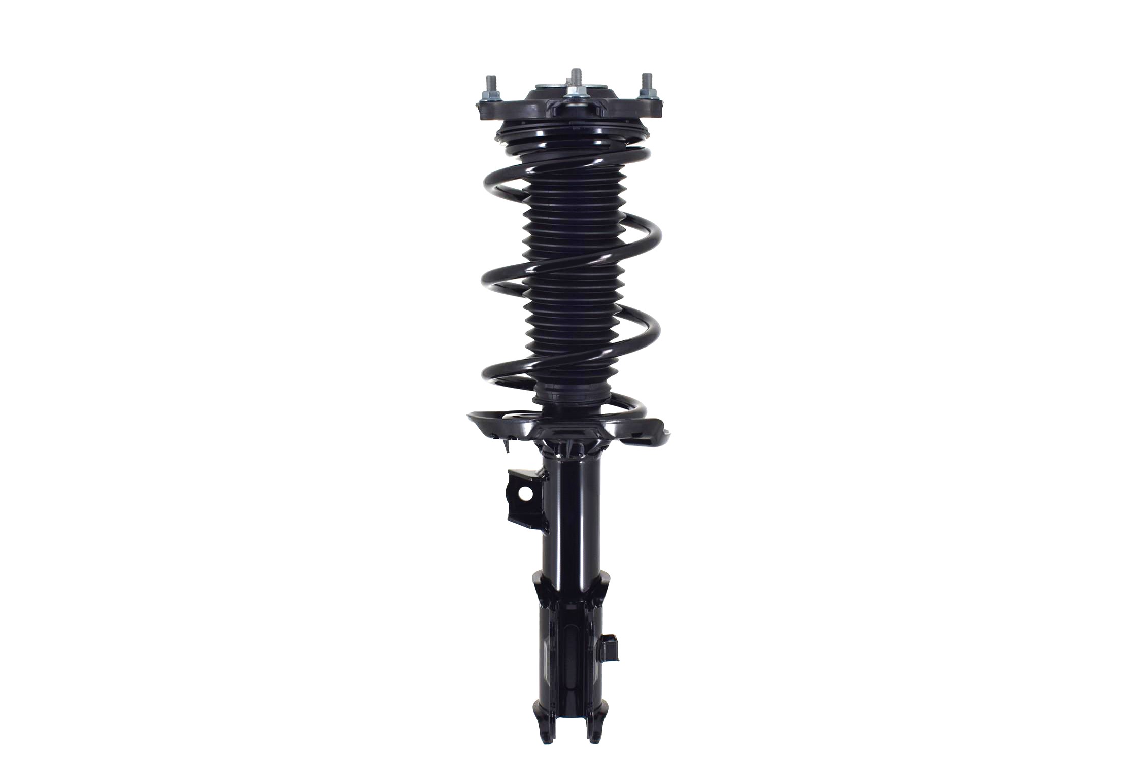 Suspension Strut and Coil Spring Assembly