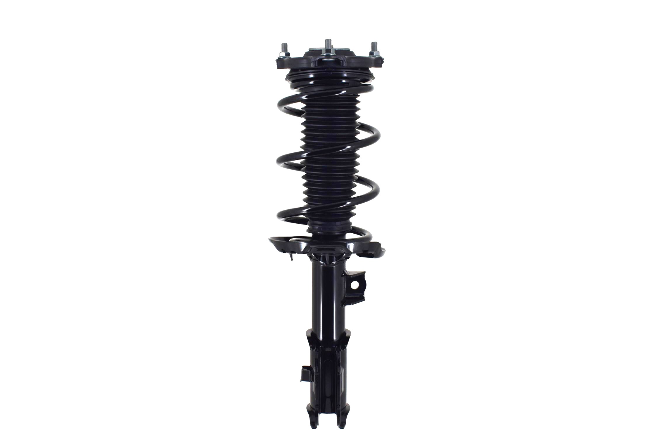 Suspension Strut and Coil Spring Assembly