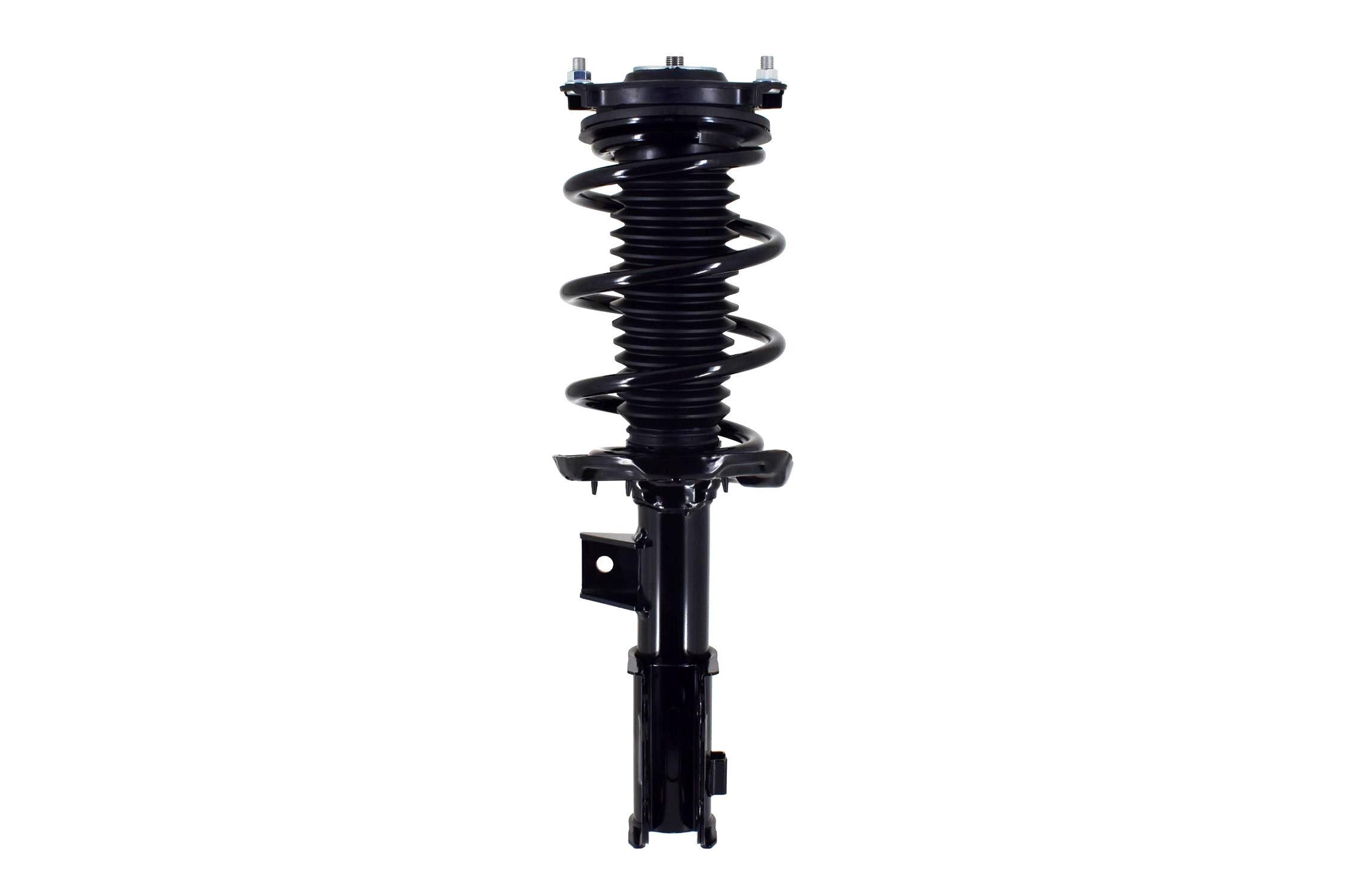 Suspension Strut and Coil Spring Assembly
