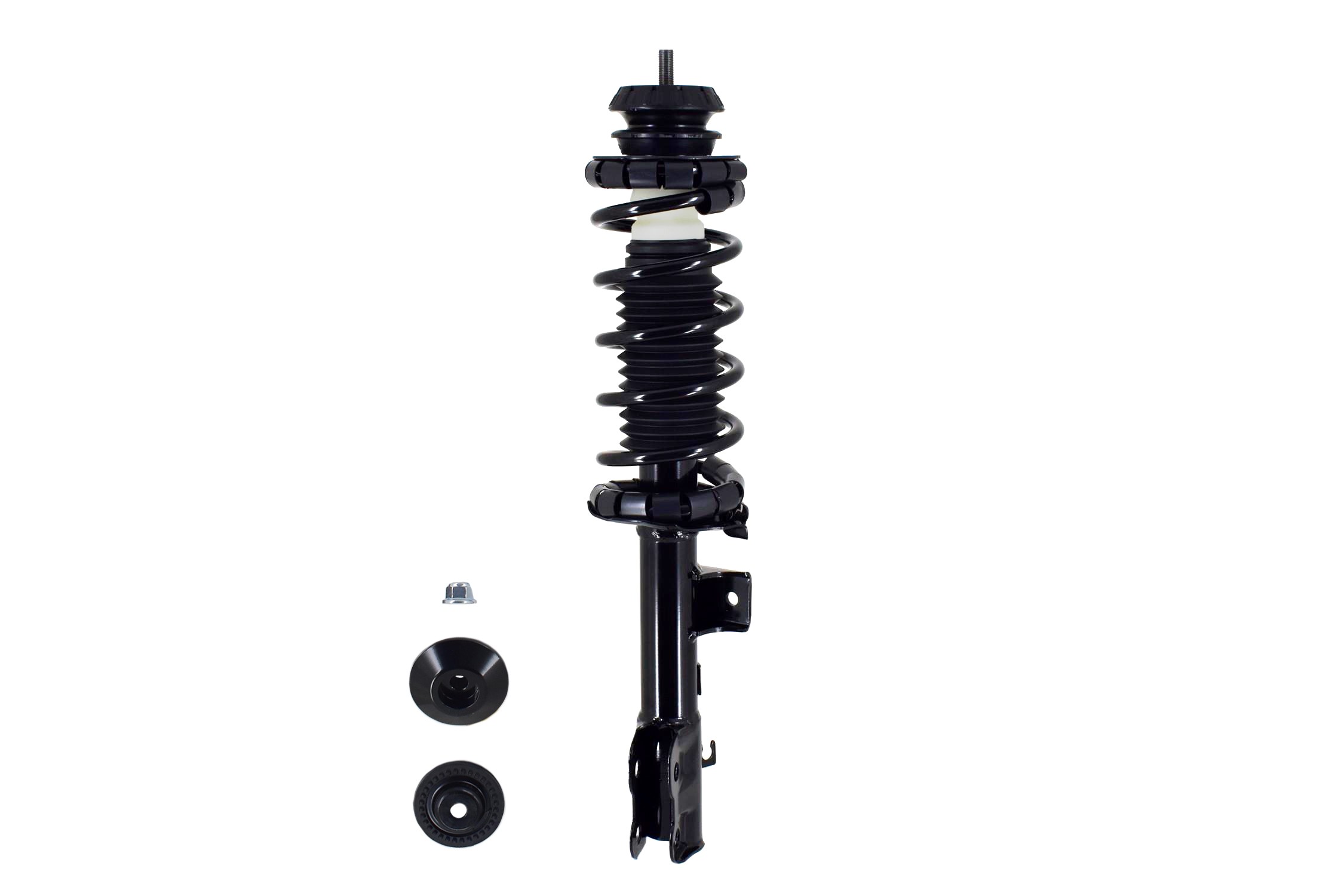 Suspension Strut and Coil Spring Assembly