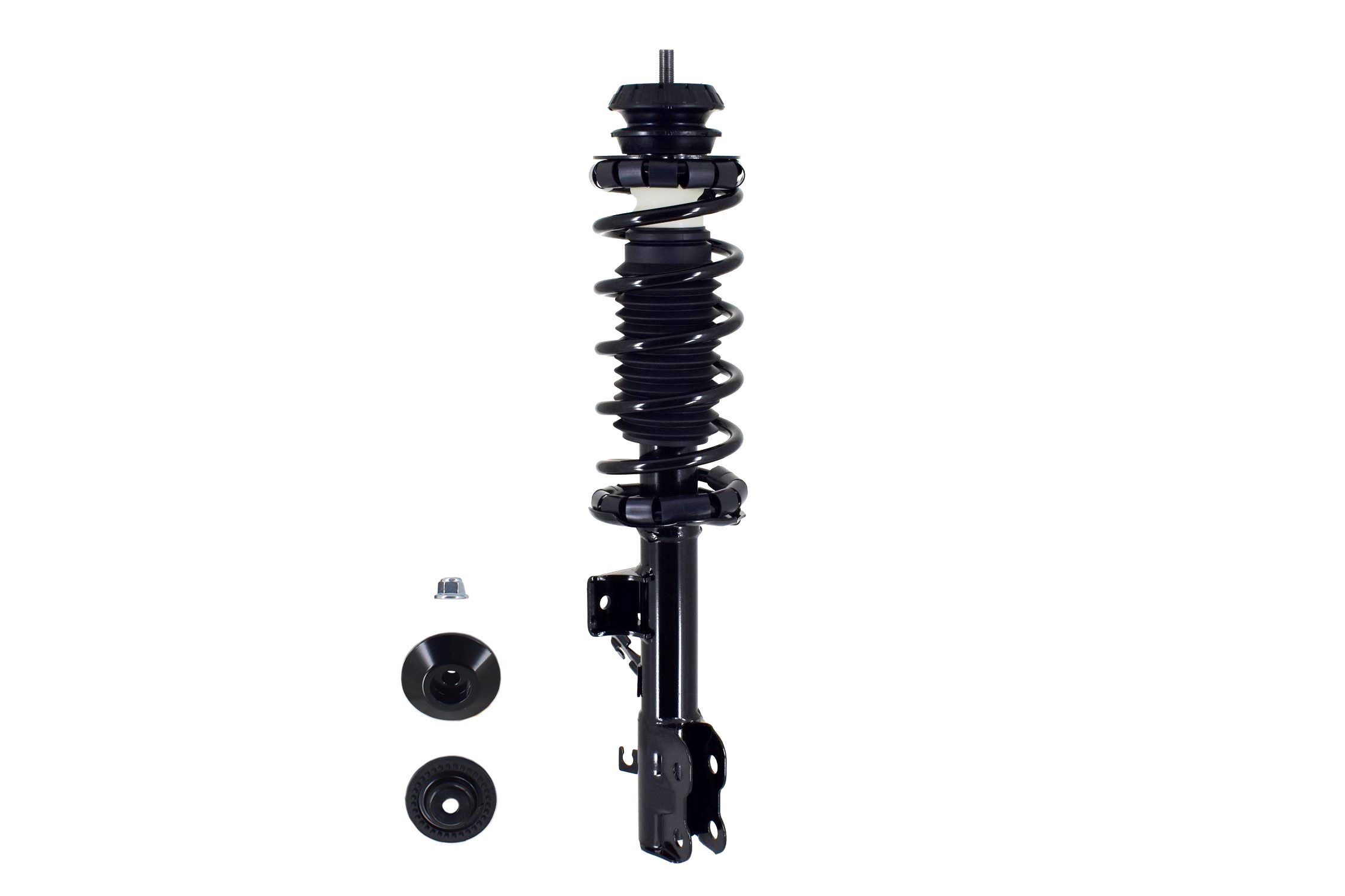 Suspension Strut and Coil Spring Assembly