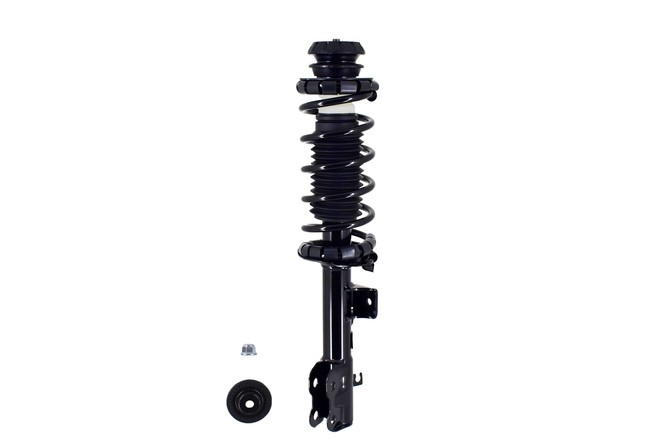 Suspension Strut and Coil Spring Assembly