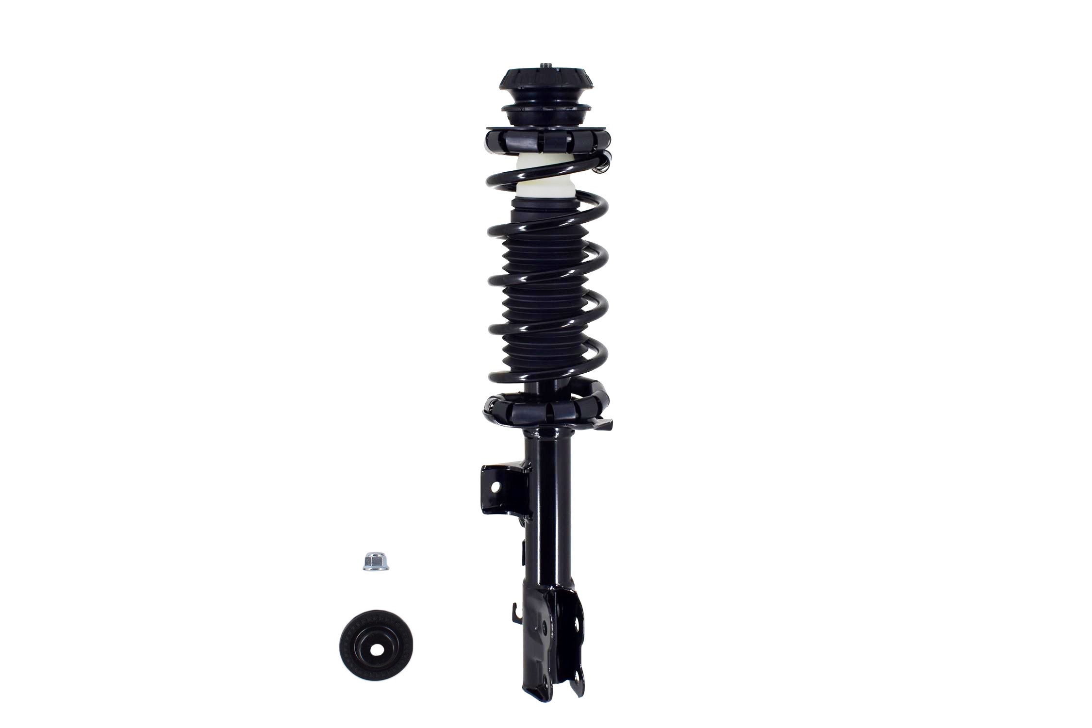 Suspension Strut and Coil Spring Assembly