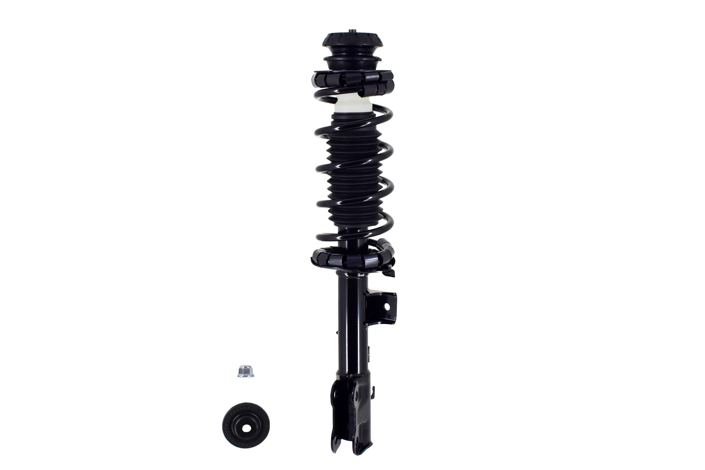 Suspension Strut and Coil Spring Assembly