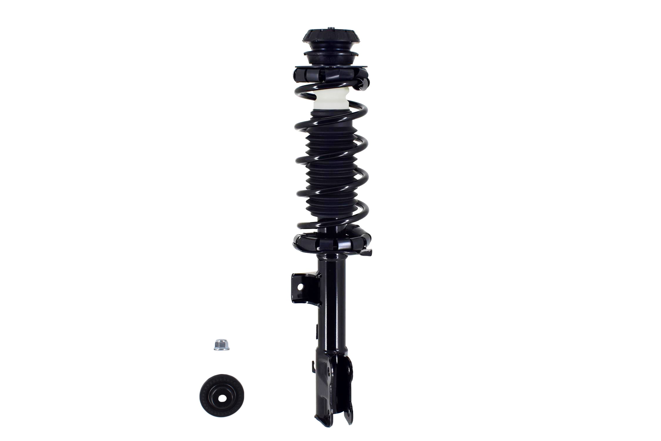 Suspension Strut and Coil Spring Assembly