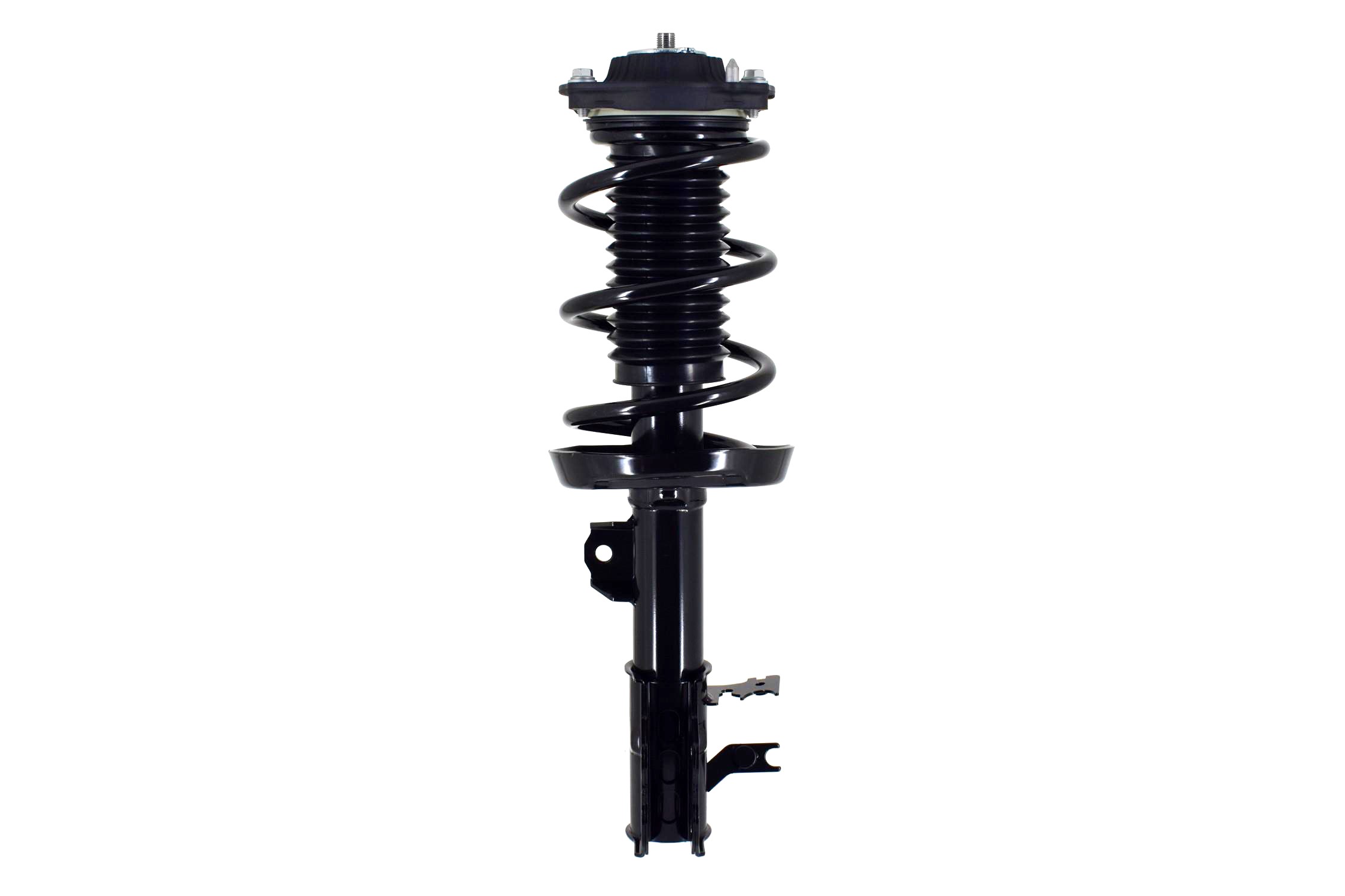 Suspension Strut and Coil Spring Assembly