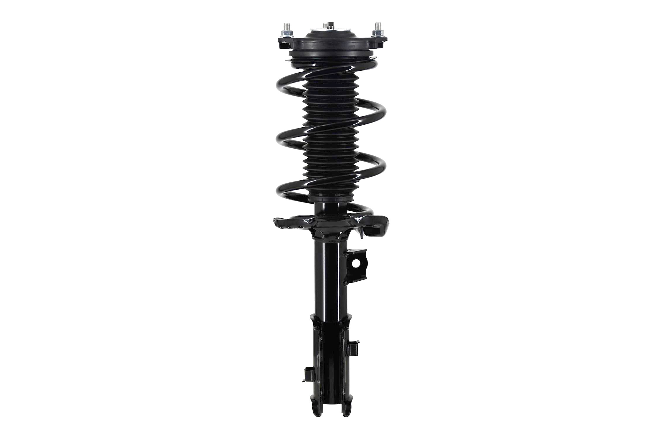 Suspension Strut and Coil Spring Assembly