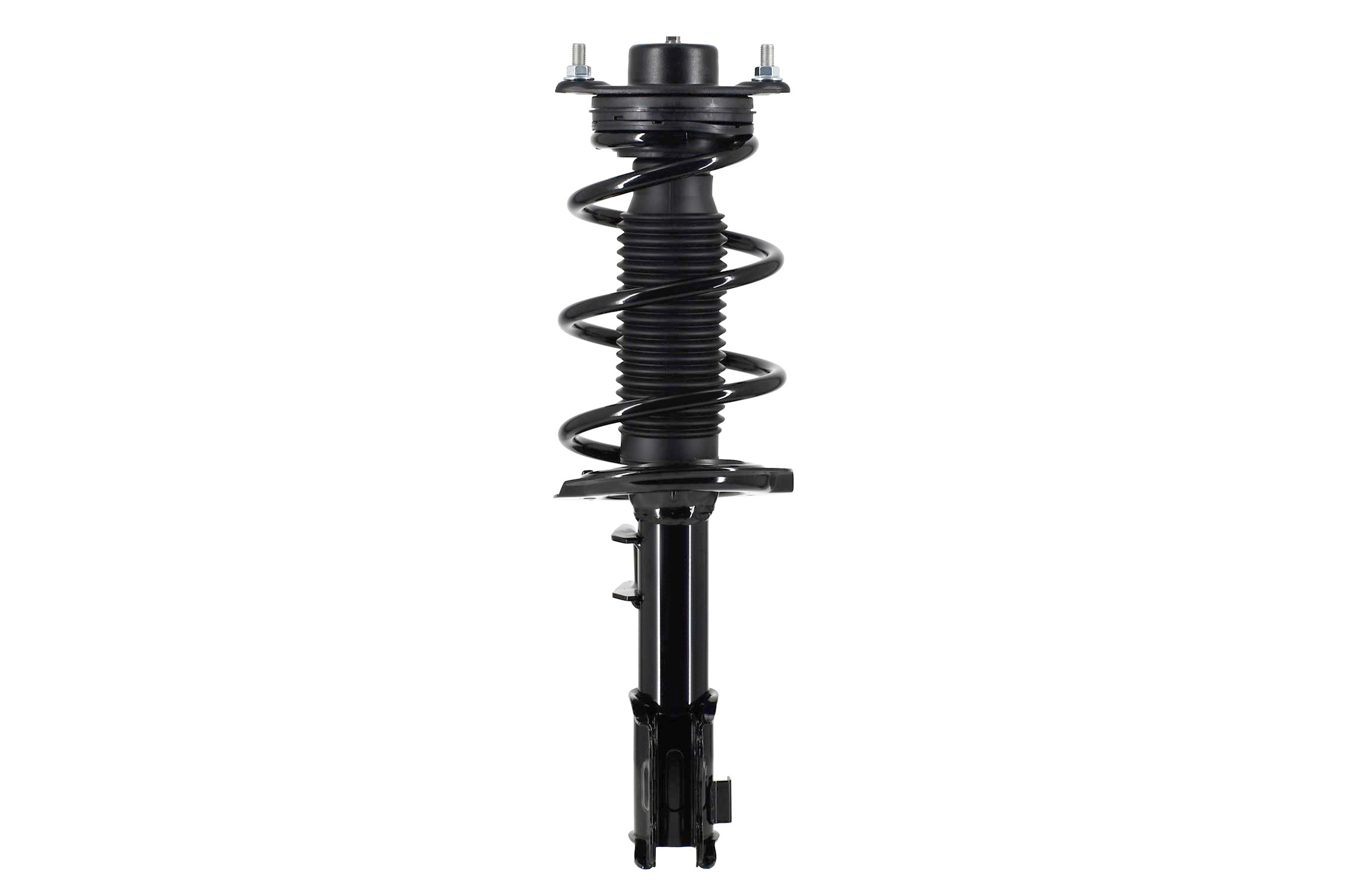 Suspension Strut and Coil Spring Assembly