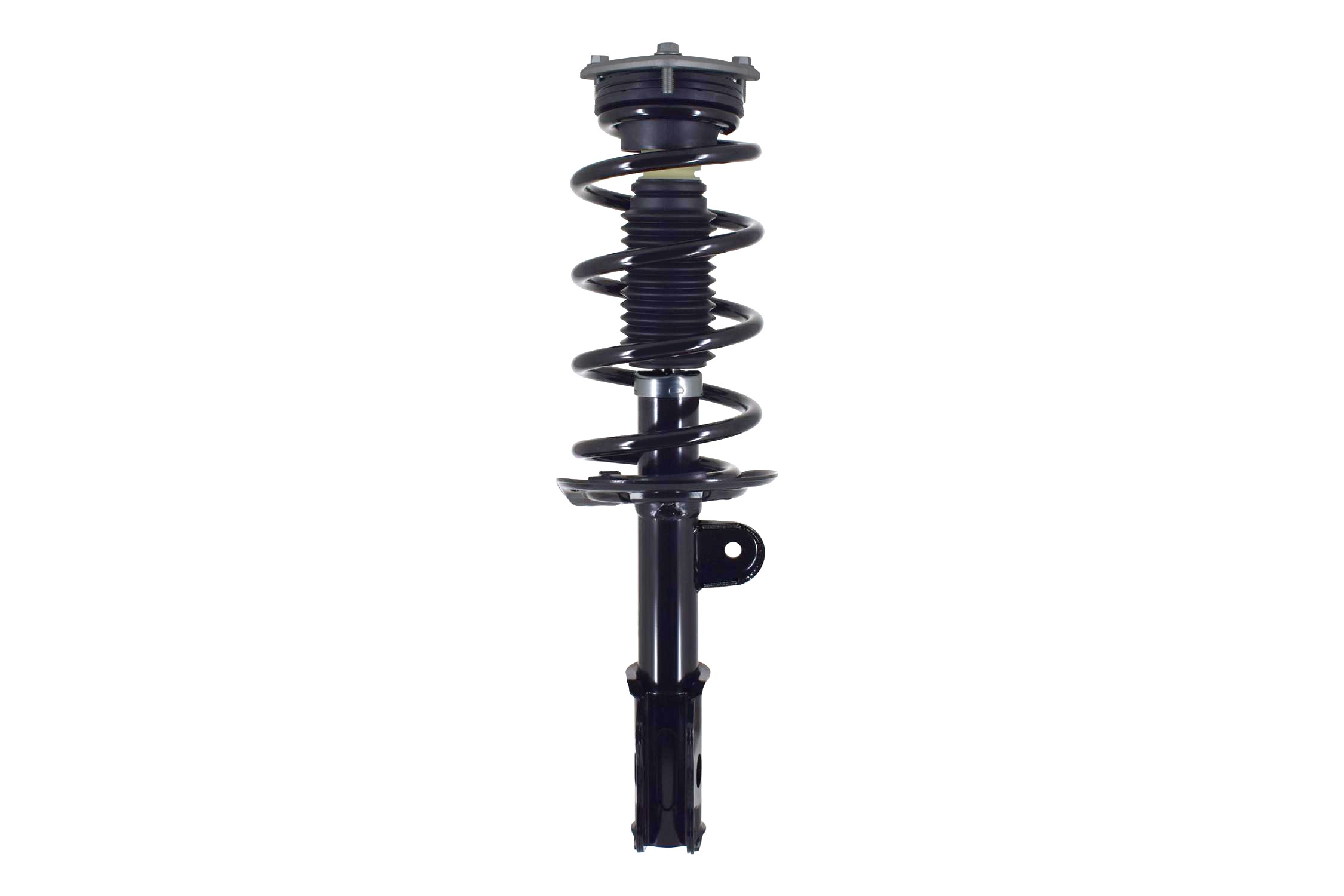 Suspension Strut and Coil Spring Assembly