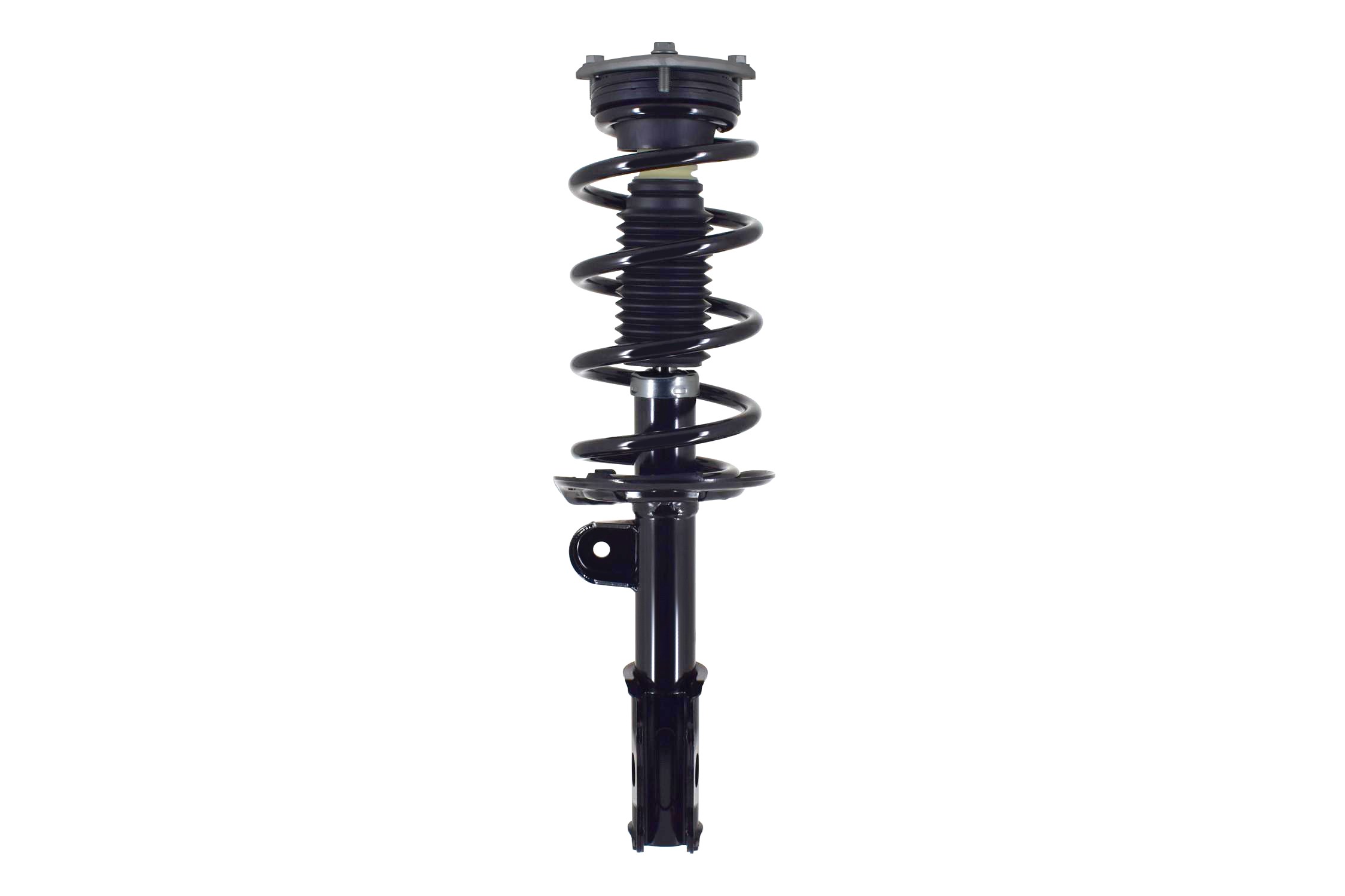 Suspension Strut and Coil Spring Assembly