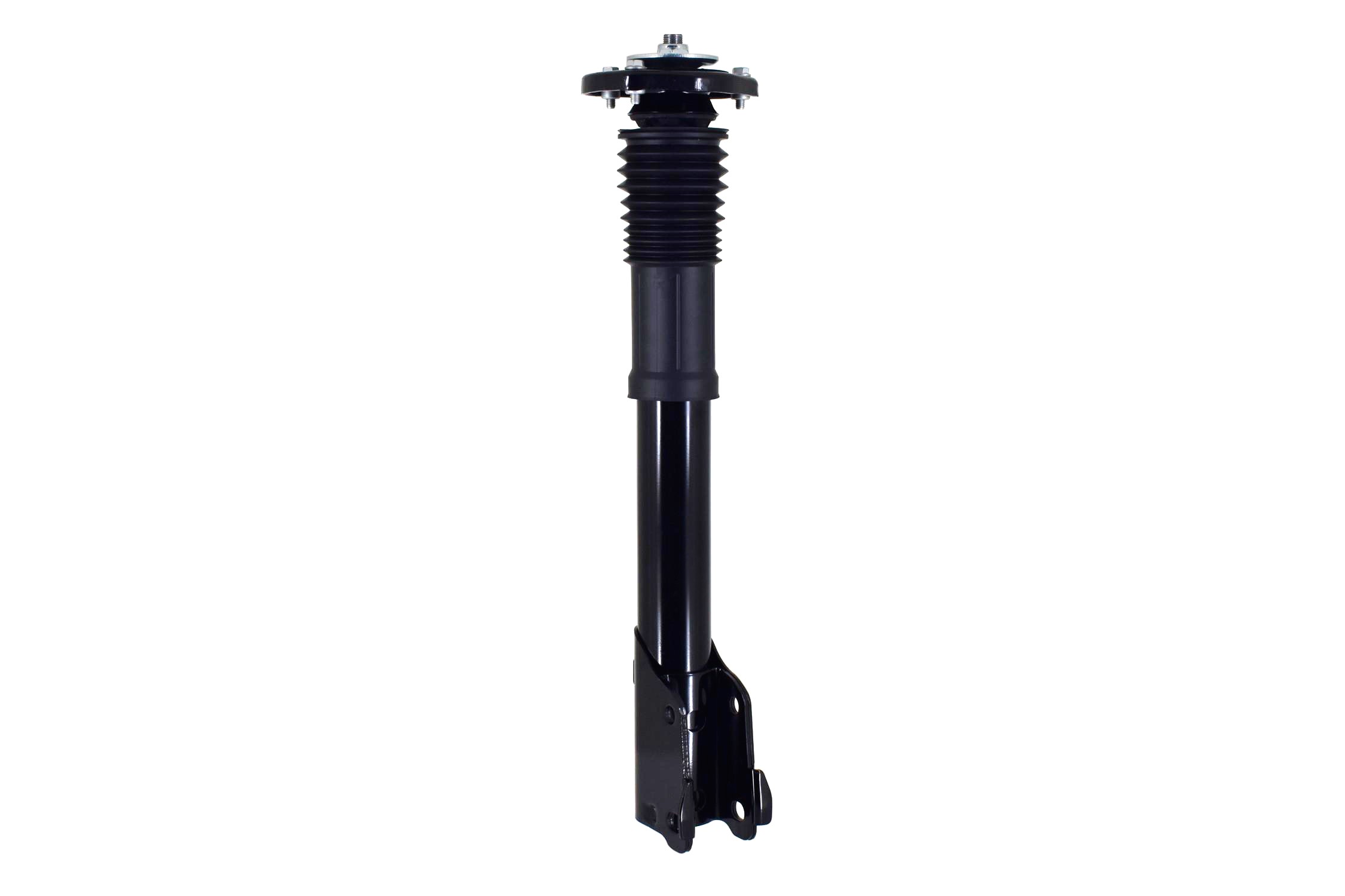 Suspension Strut and Coil Spring Assembly