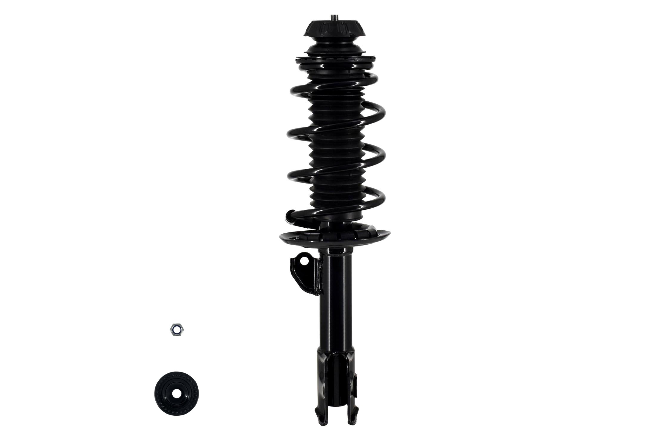 Suspension Strut and Coil Spring Assembly