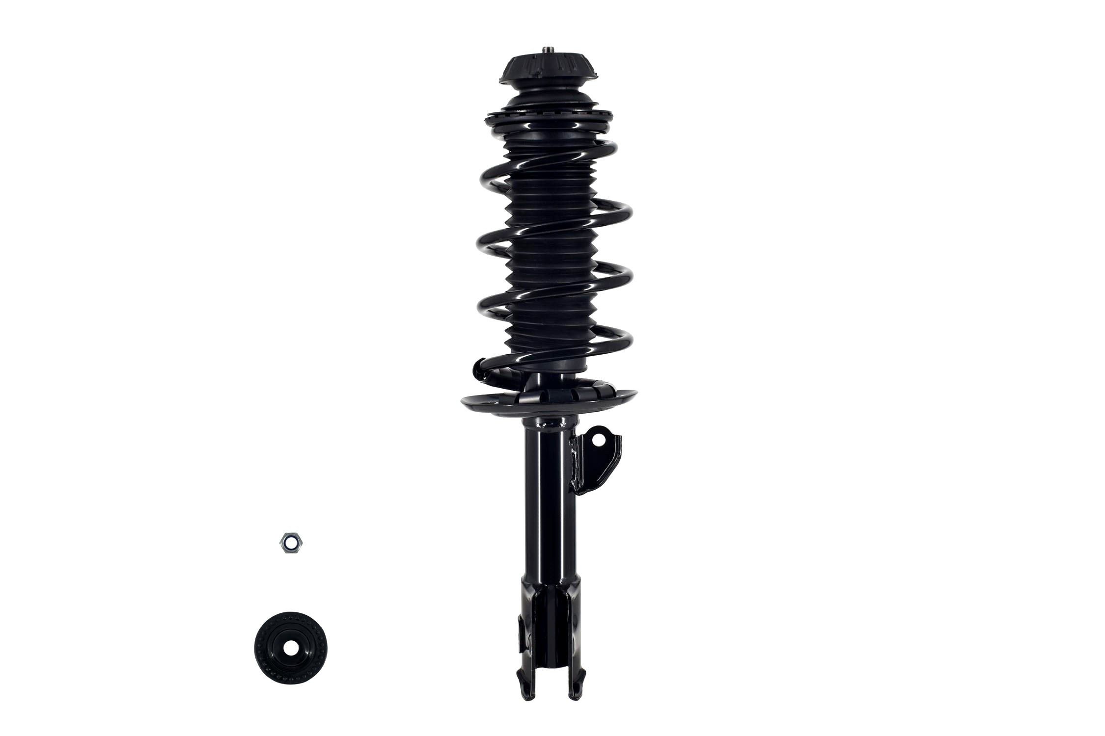 Suspension Strut and Coil Spring Assembly