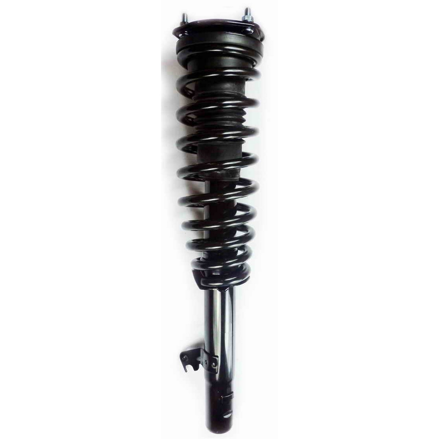 Suspension Strut and Coil Spring Assembly
