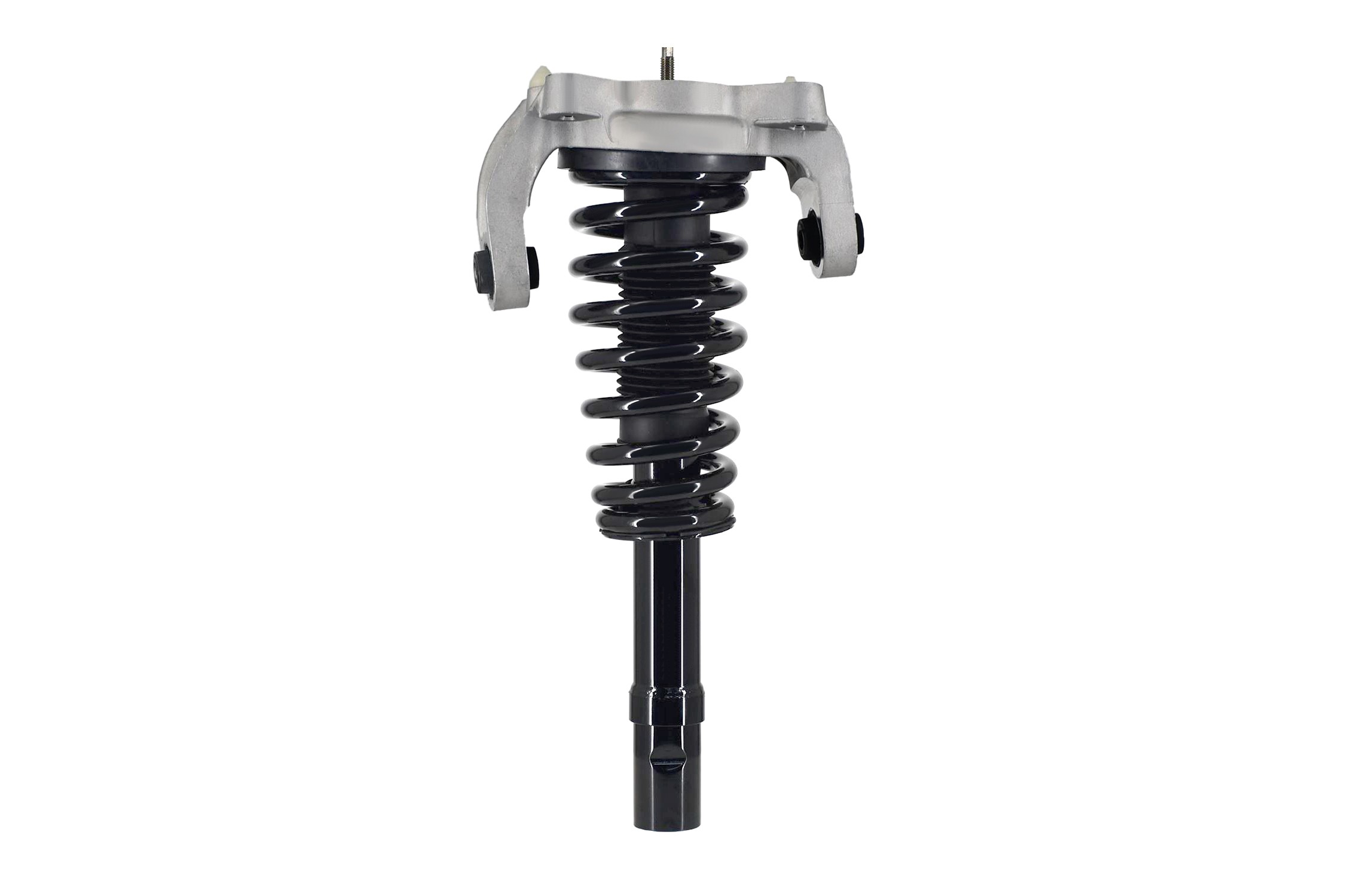 Suspension Strut and Coil Spring Assembly