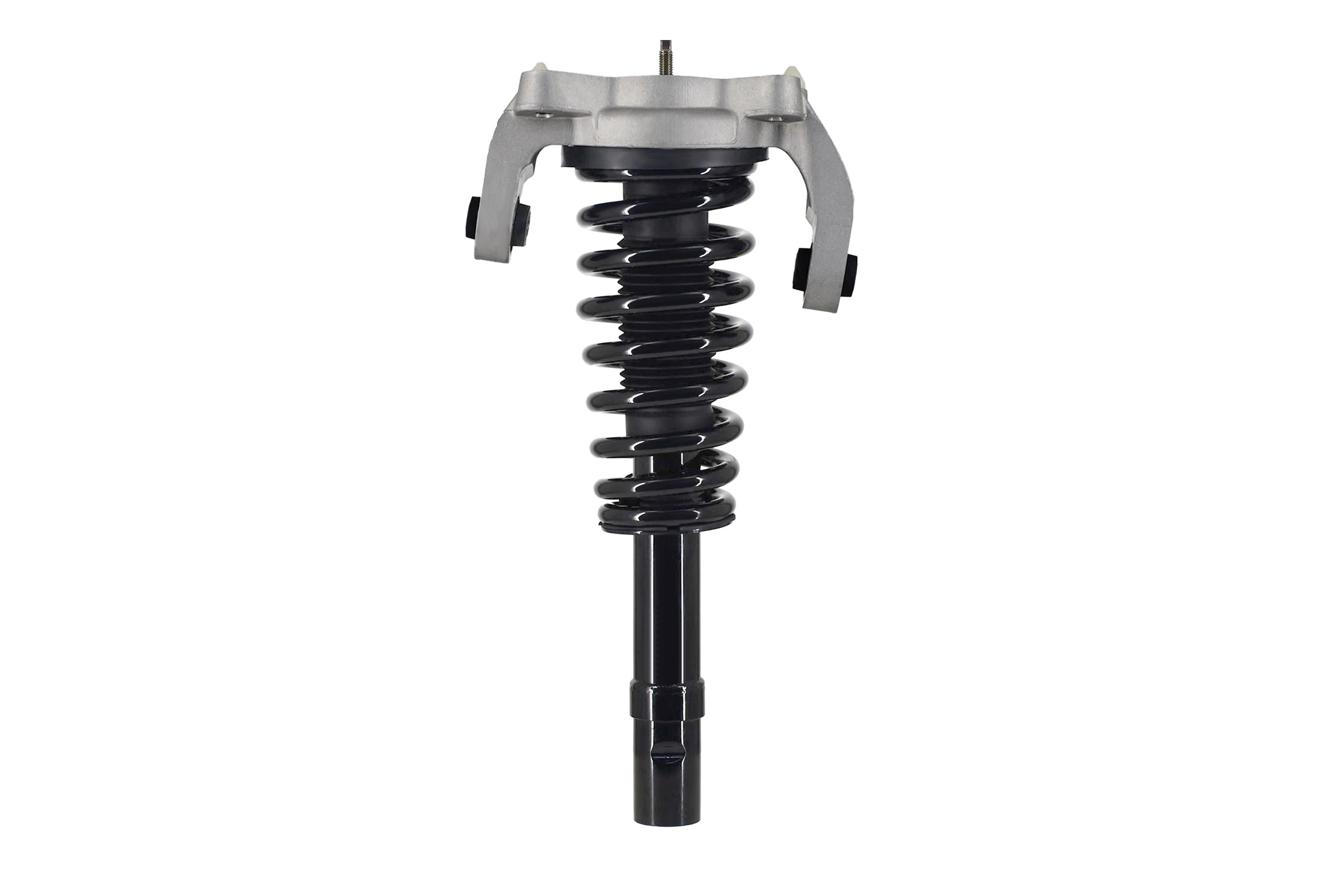 Suspension Strut and Coil Spring Assembly