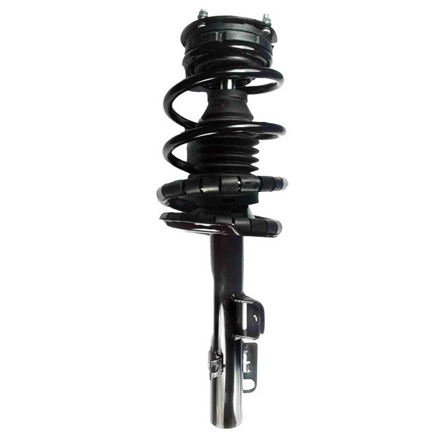 Suspension Strut and Coil Spring Assembly