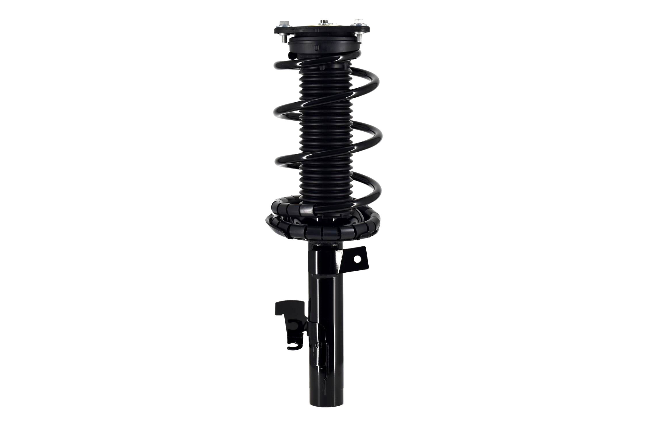 Suspension Strut and Coil Spring Assembly
