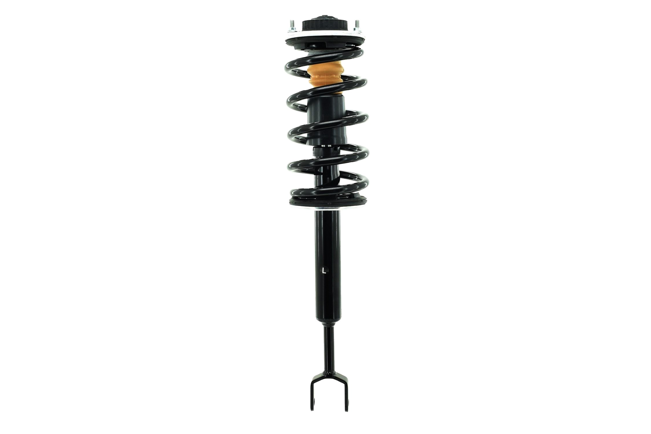 Suspension Strut and Coil Spring Assembly