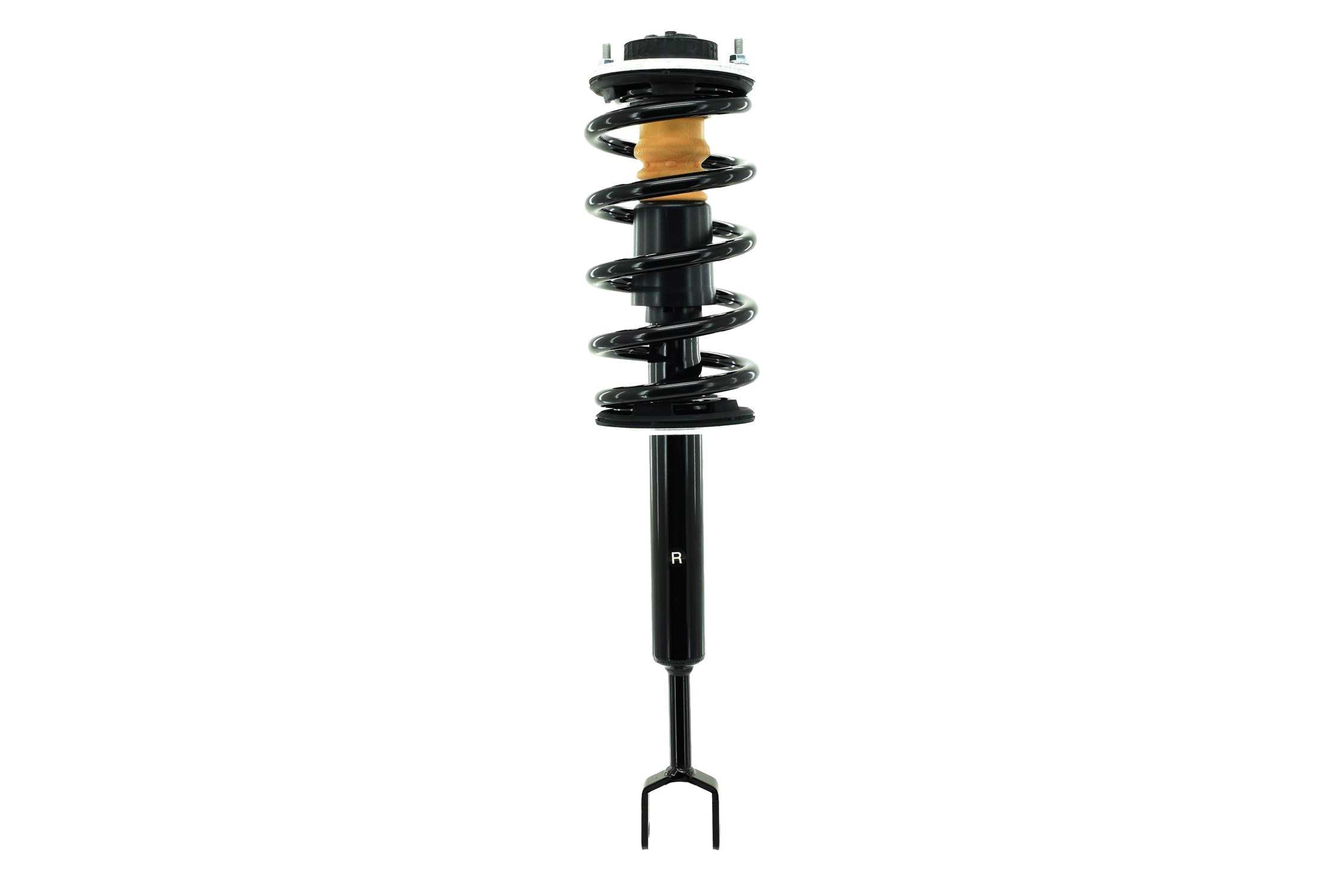 Suspension Strut and Coil Spring Assembly