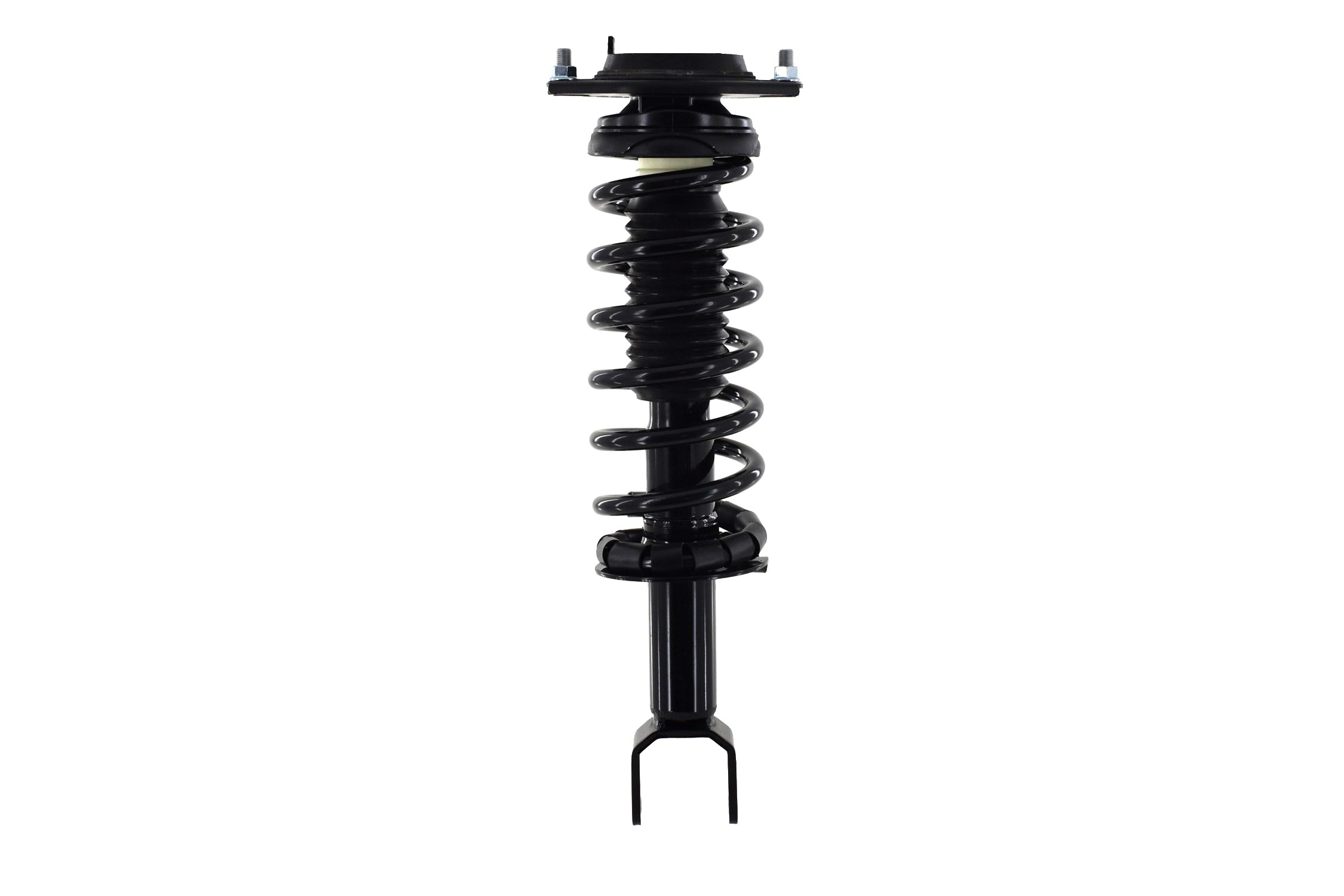 Suspension Strut and Coil Spring Assembly