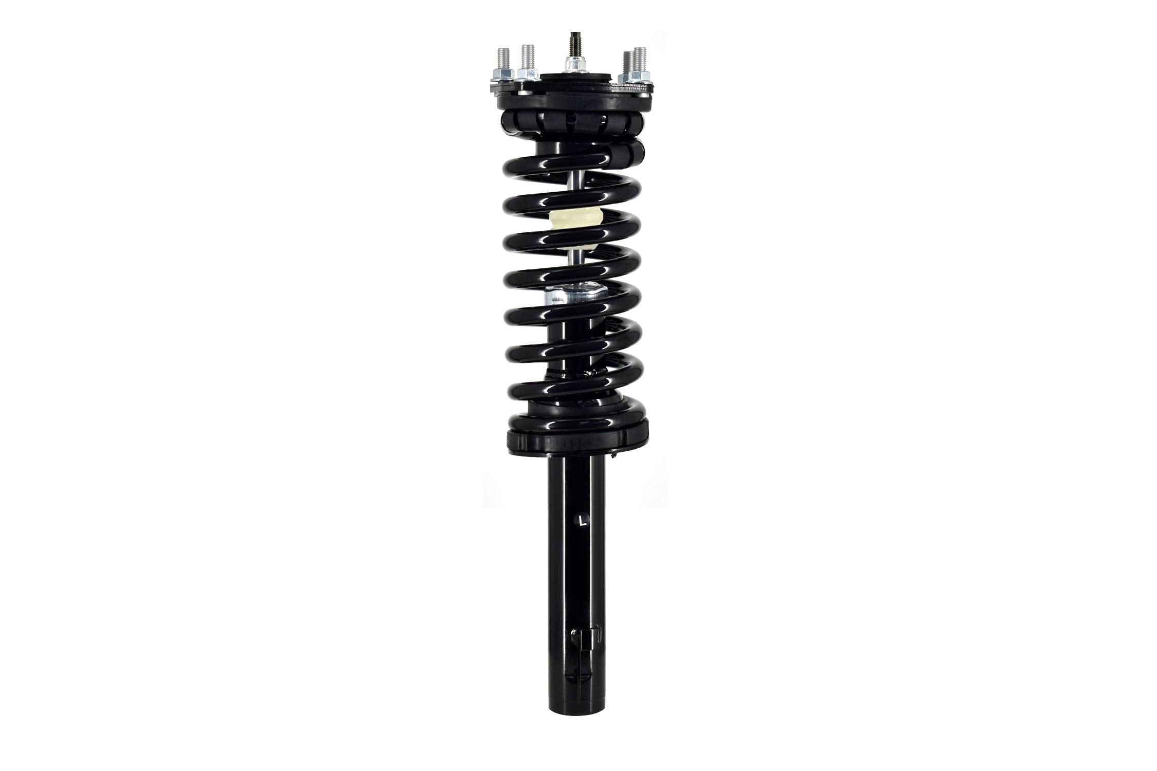 Suspension Strut and Coil Spring Assembly