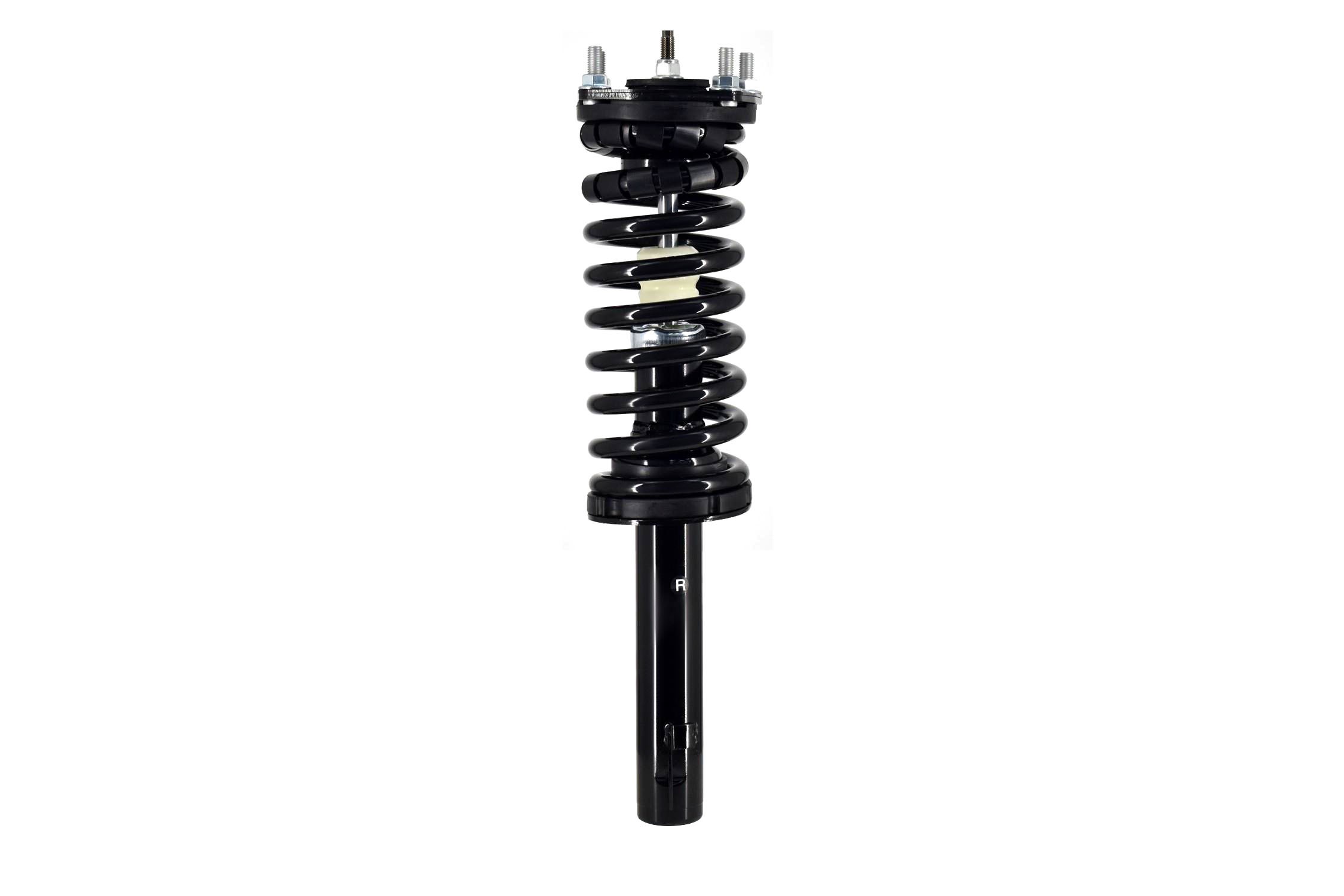 Suspension Strut and Coil Spring Assembly