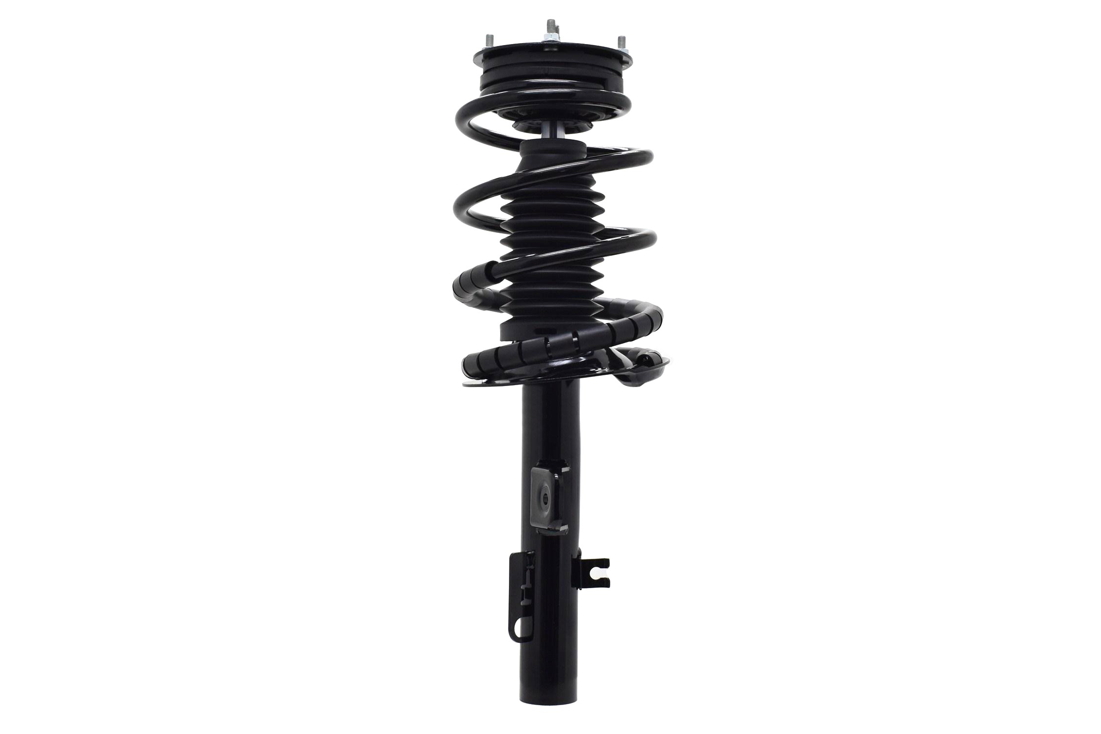 Suspension Strut and Coil Spring Assembly
