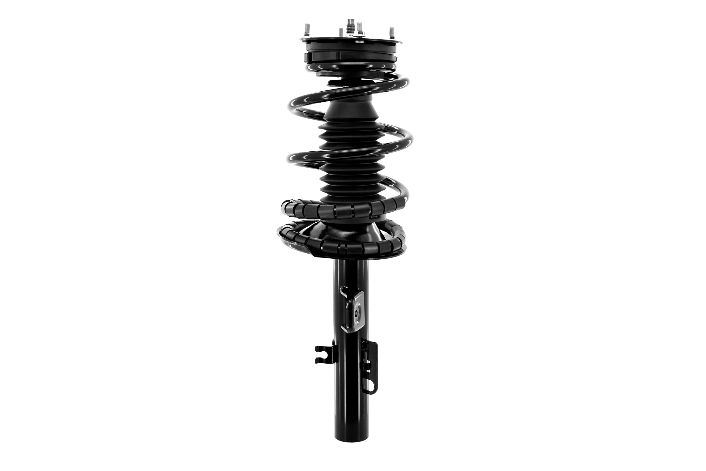 Suspension Strut and Coil Spring Assembly