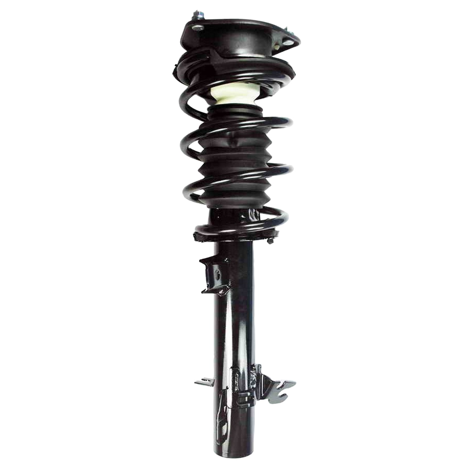 Suspension Strut and Coil Spring Assembly
