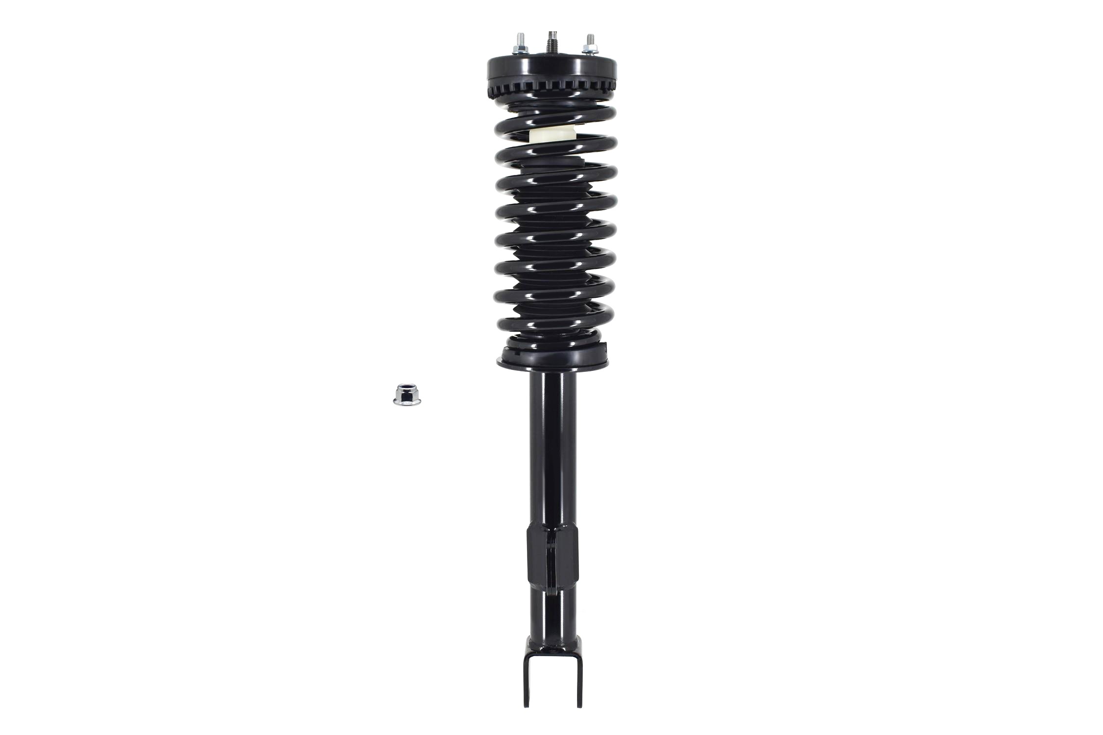 Suspension Strut and Coil Spring Assembly